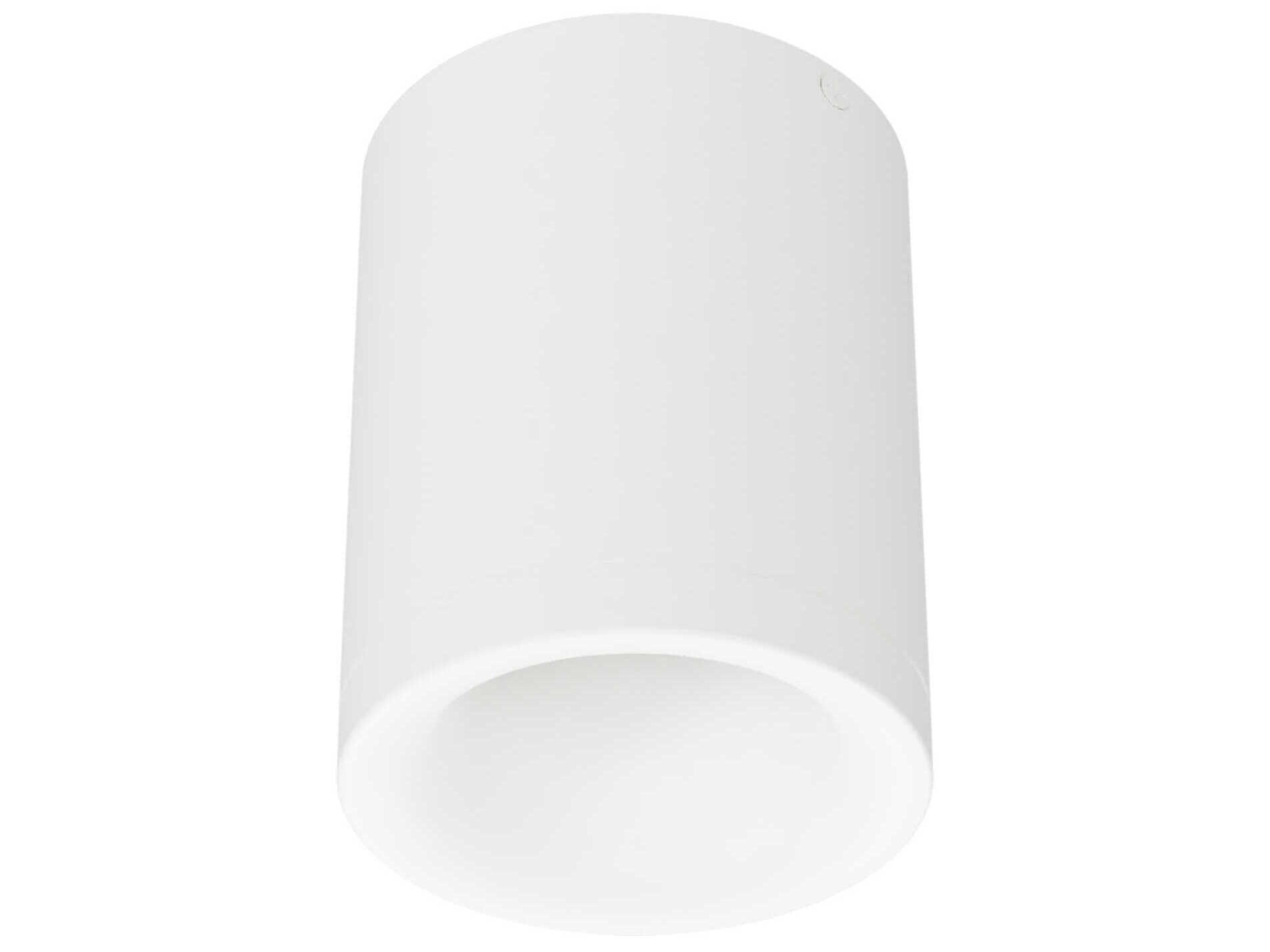 Zoron Round 1-Light Trimless Outdoor Ceiling Light