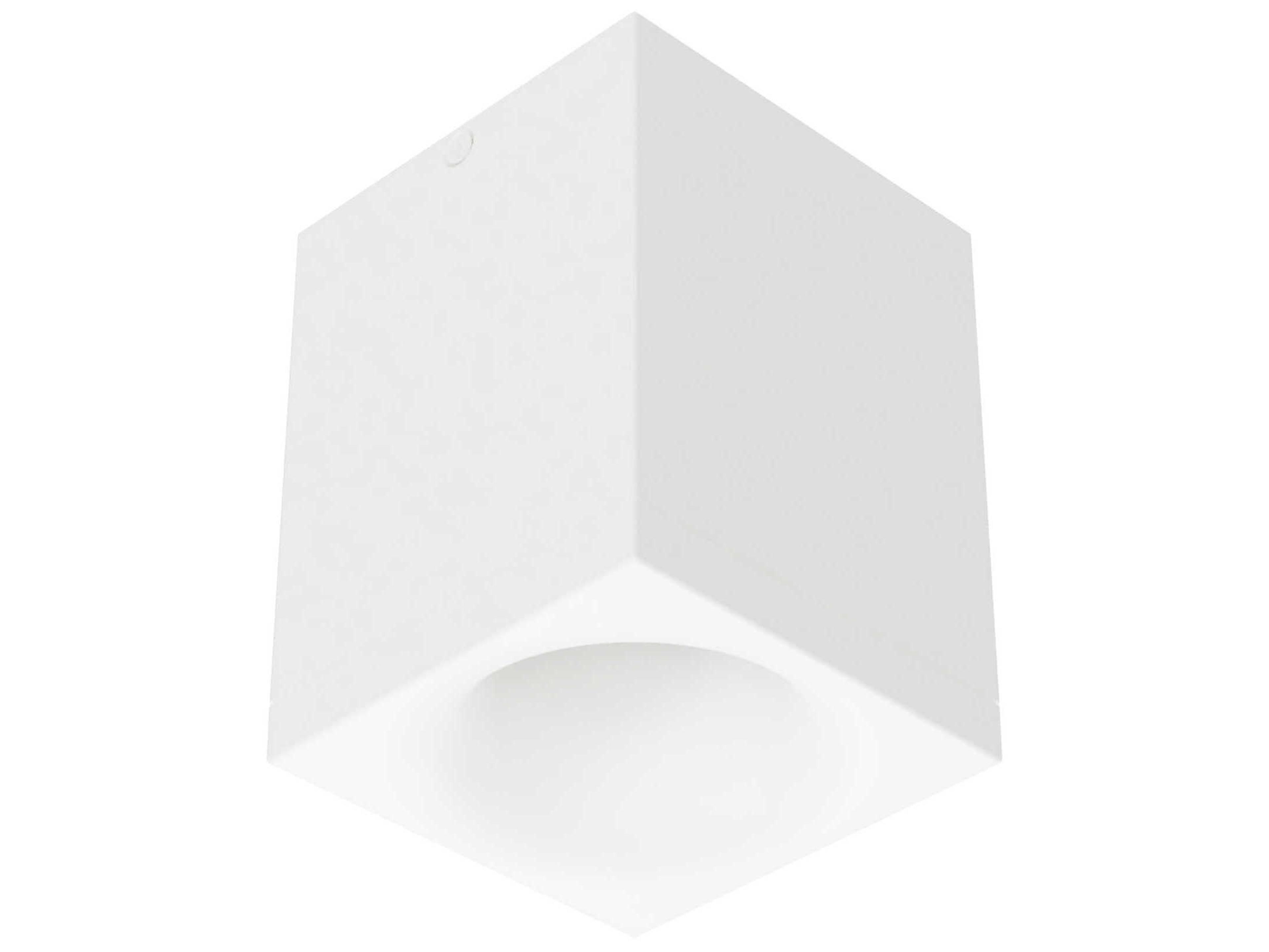 Zoron Square 1-Light Trimless Outdoor Ceiling Light