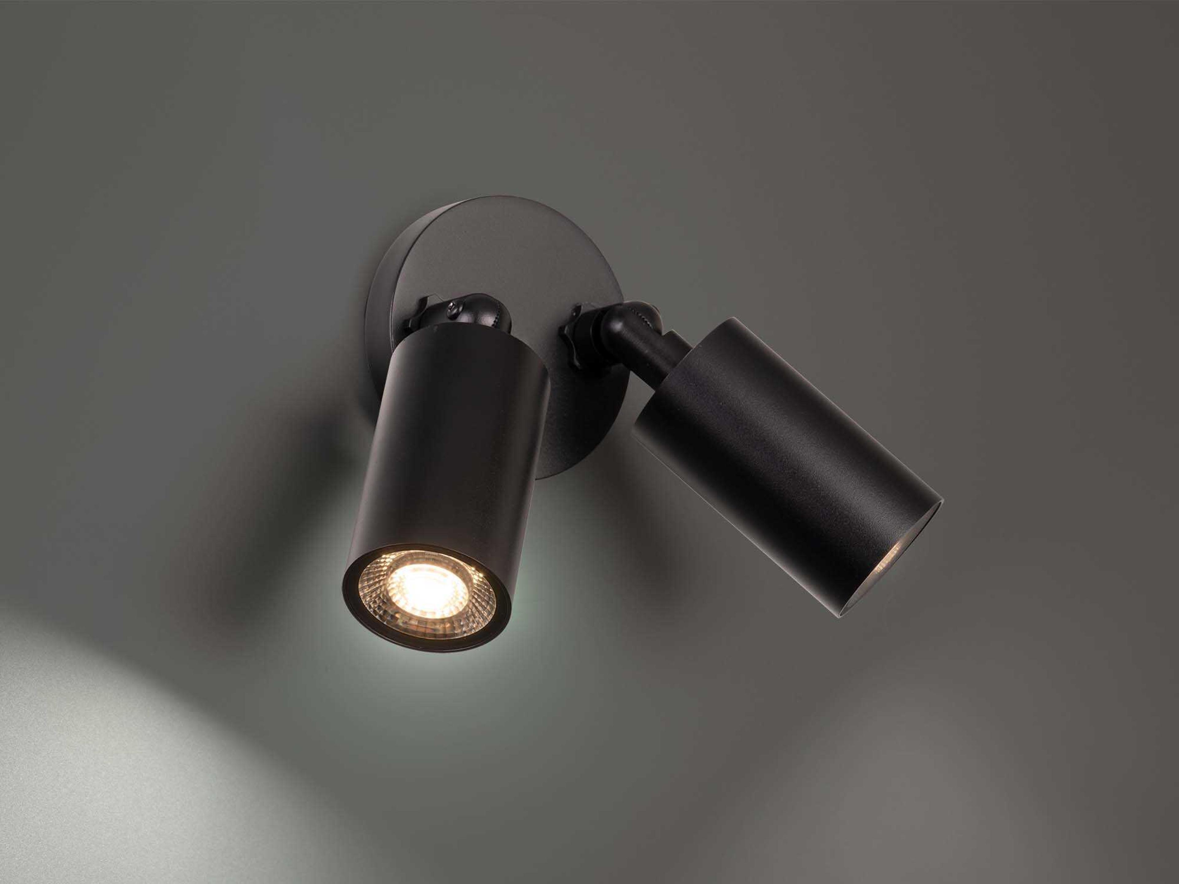 WAC Lighting Cylinder 2-Light Outdoor Spot Light