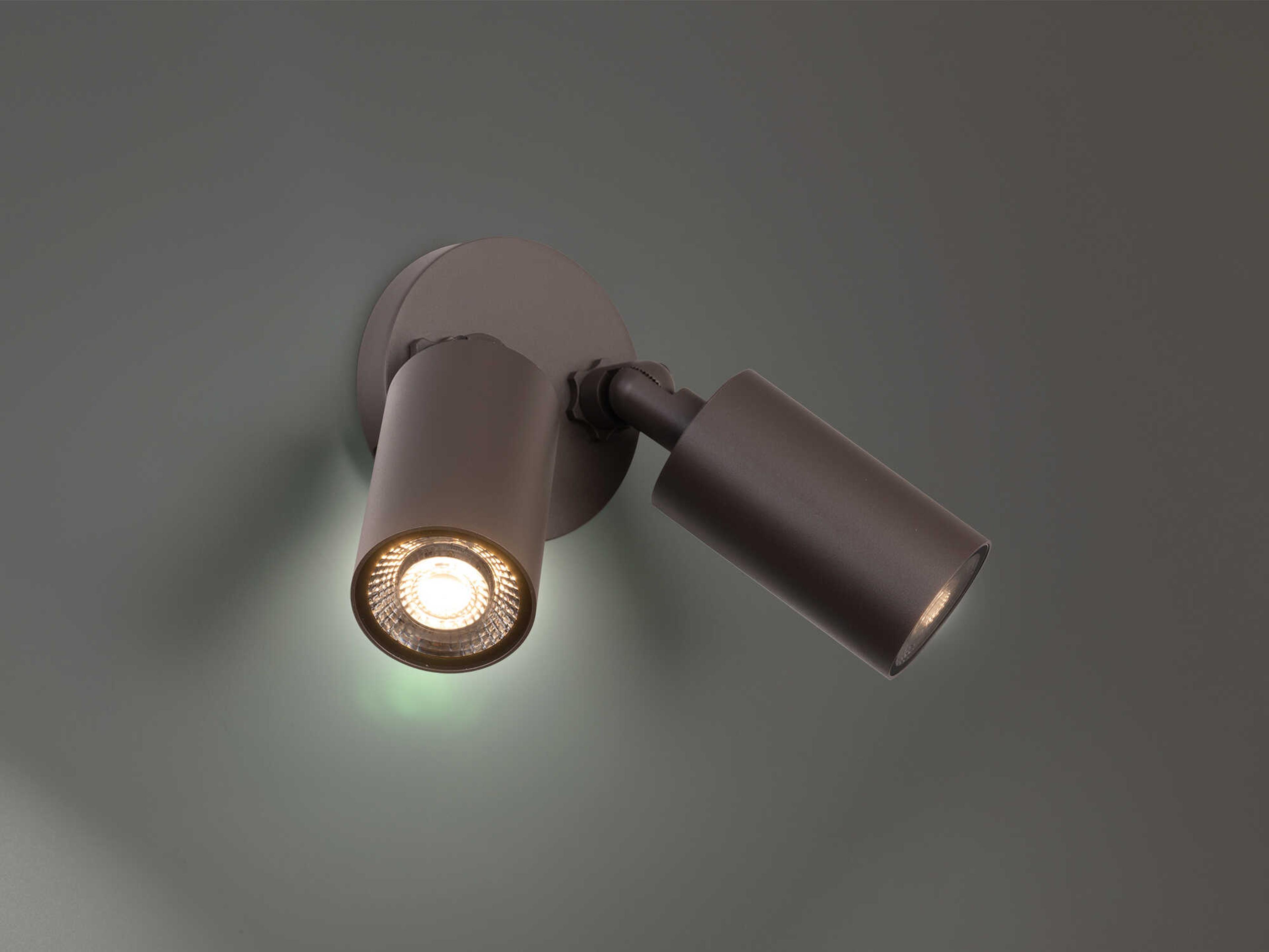 WAC Lighting Cylinder 2-Light Outdoor Spot Light