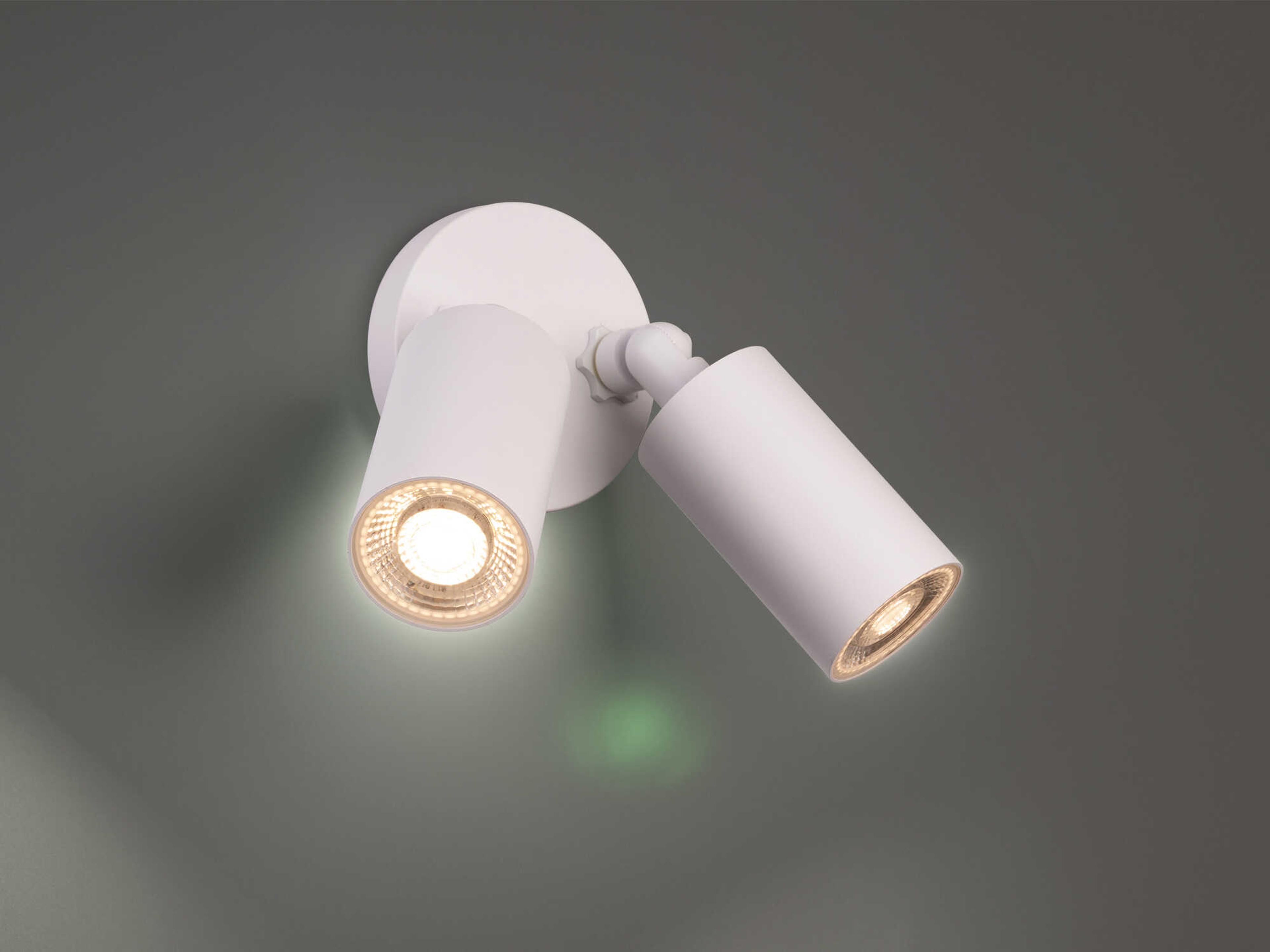 WAC Lighting Cylinder 2-Light Outdoor Spot Light