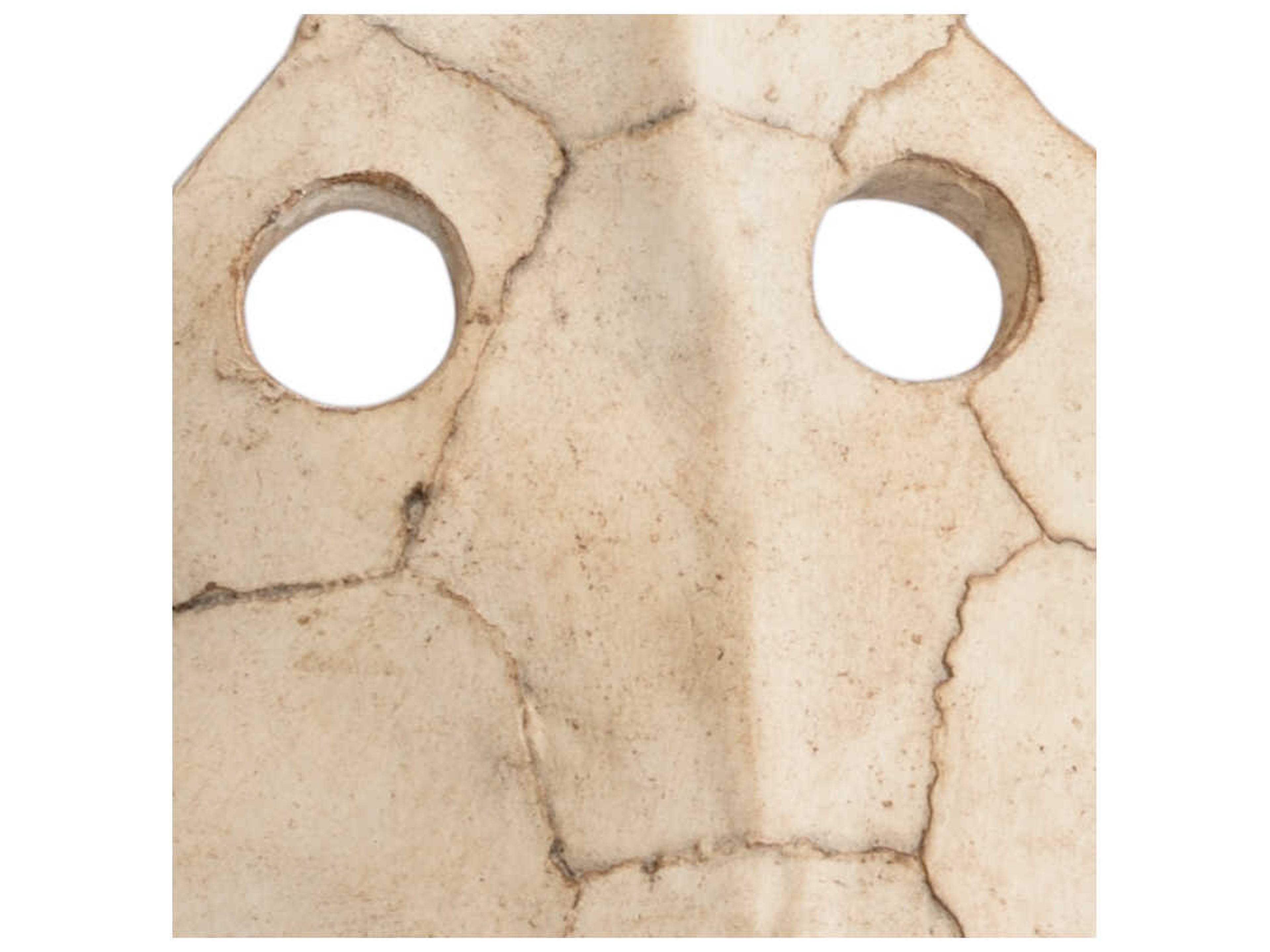 Wildwood Sulcata Turtle Sculpture