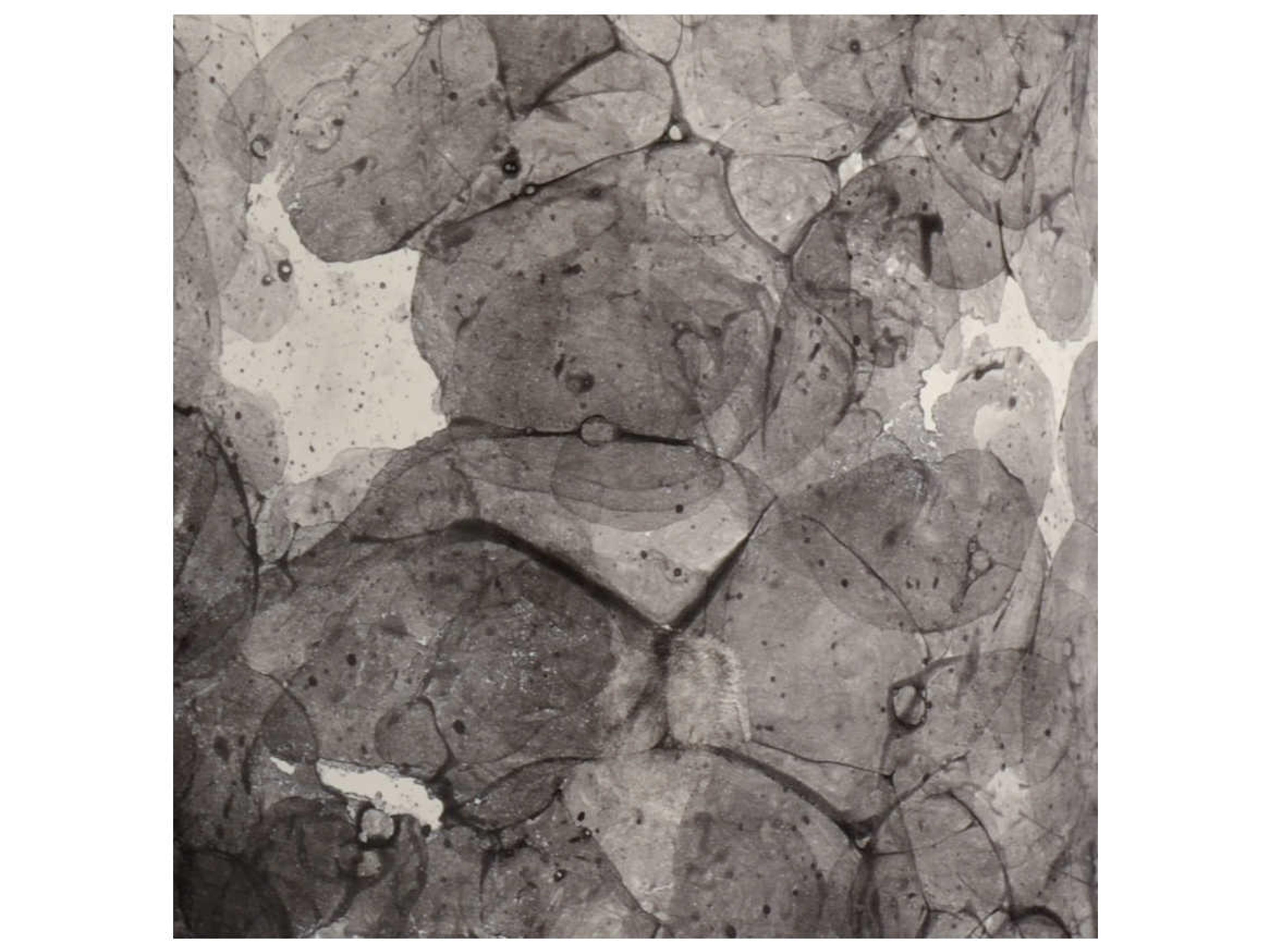 Wildwood Bolle Black Gray Cream White Linen Buffet Lamp