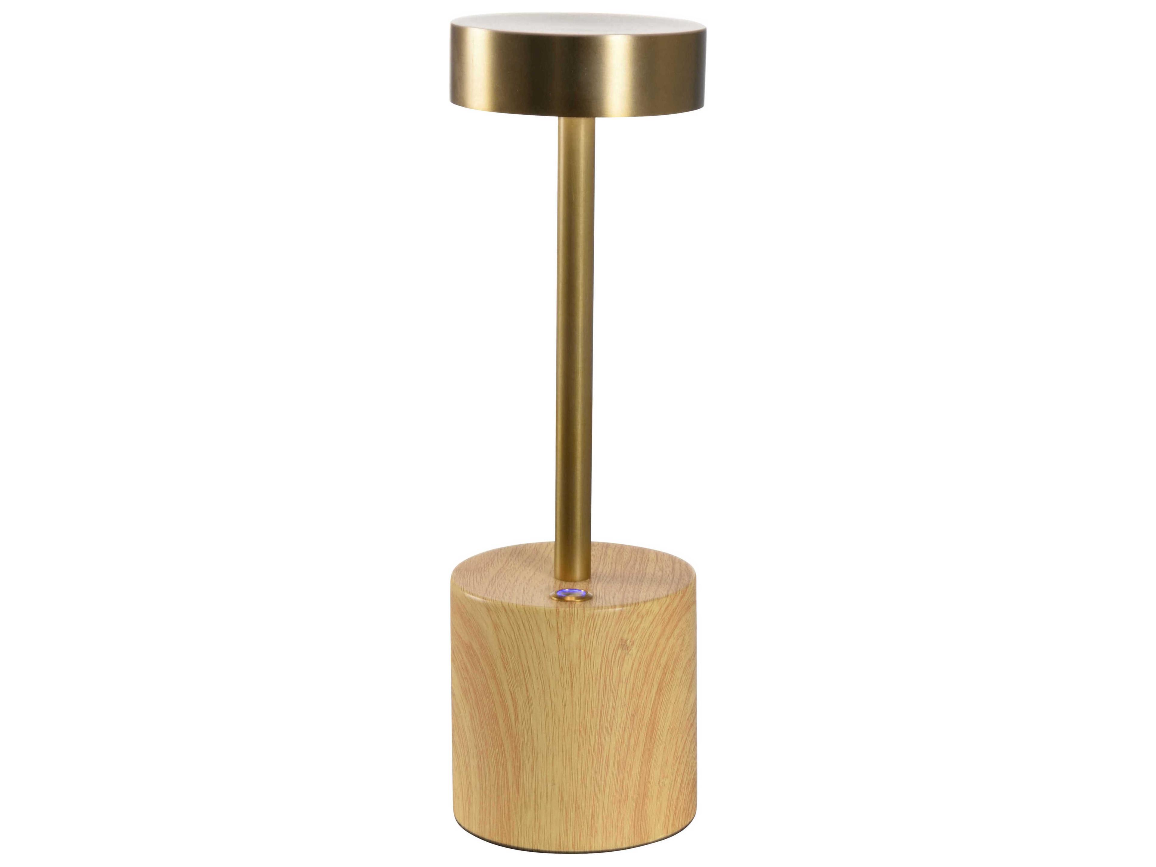 Theodore Antique Brass Rechargeable Table Lamp