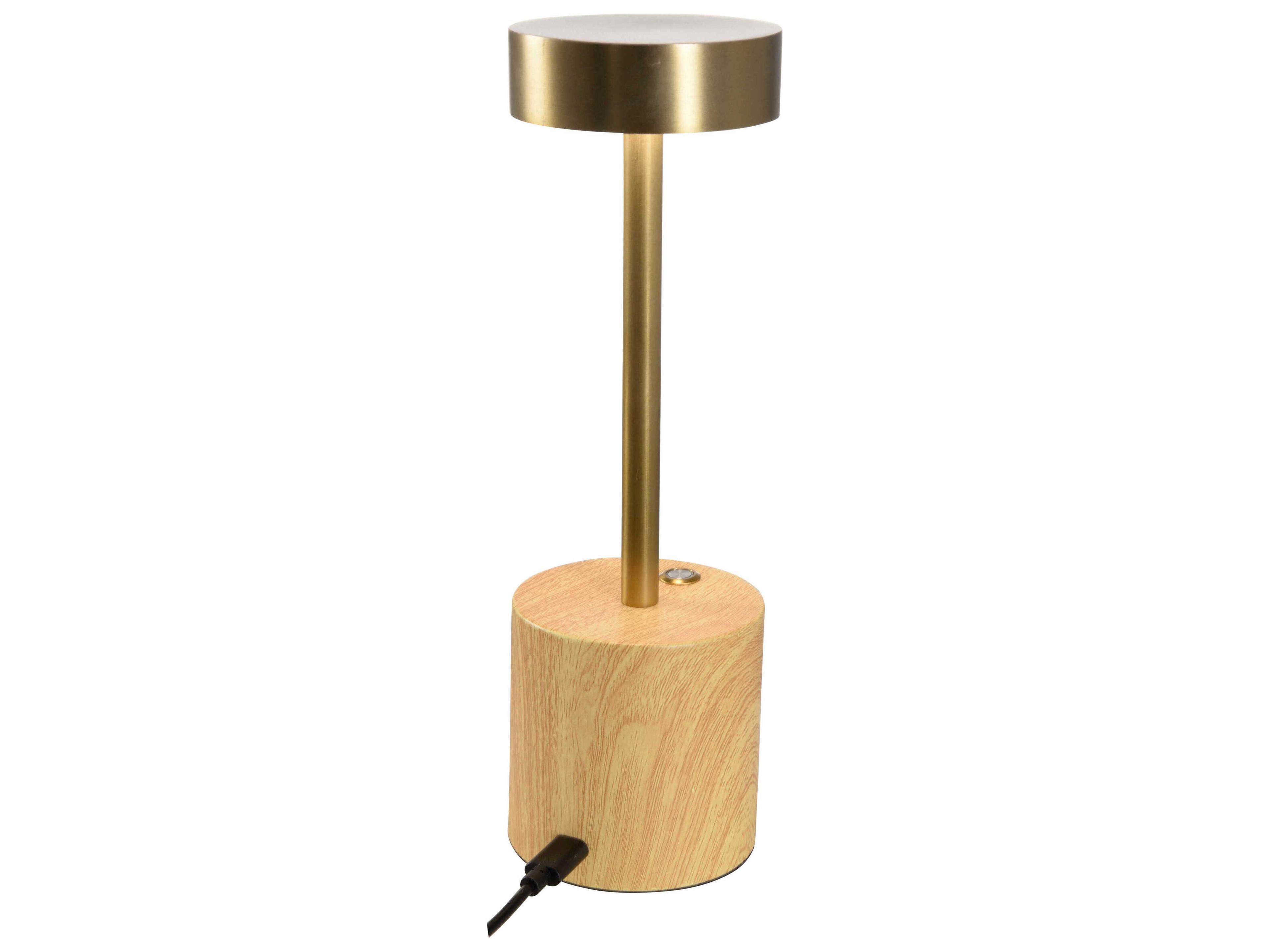 Wildwood Theodore Antique Brass Rechargeable Table Lamp