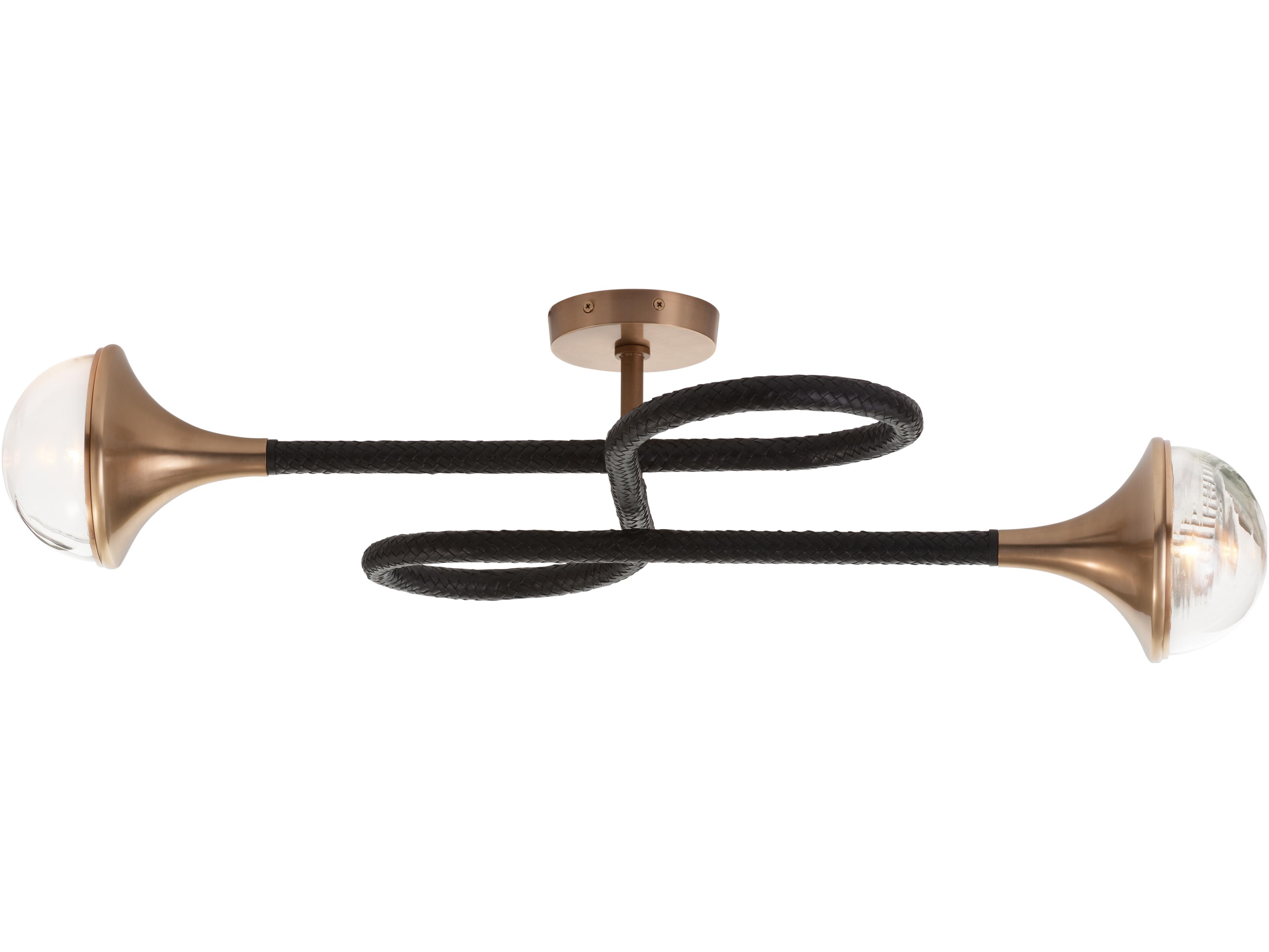 Wildwood Black Antique Brass Clear Wall Sconce