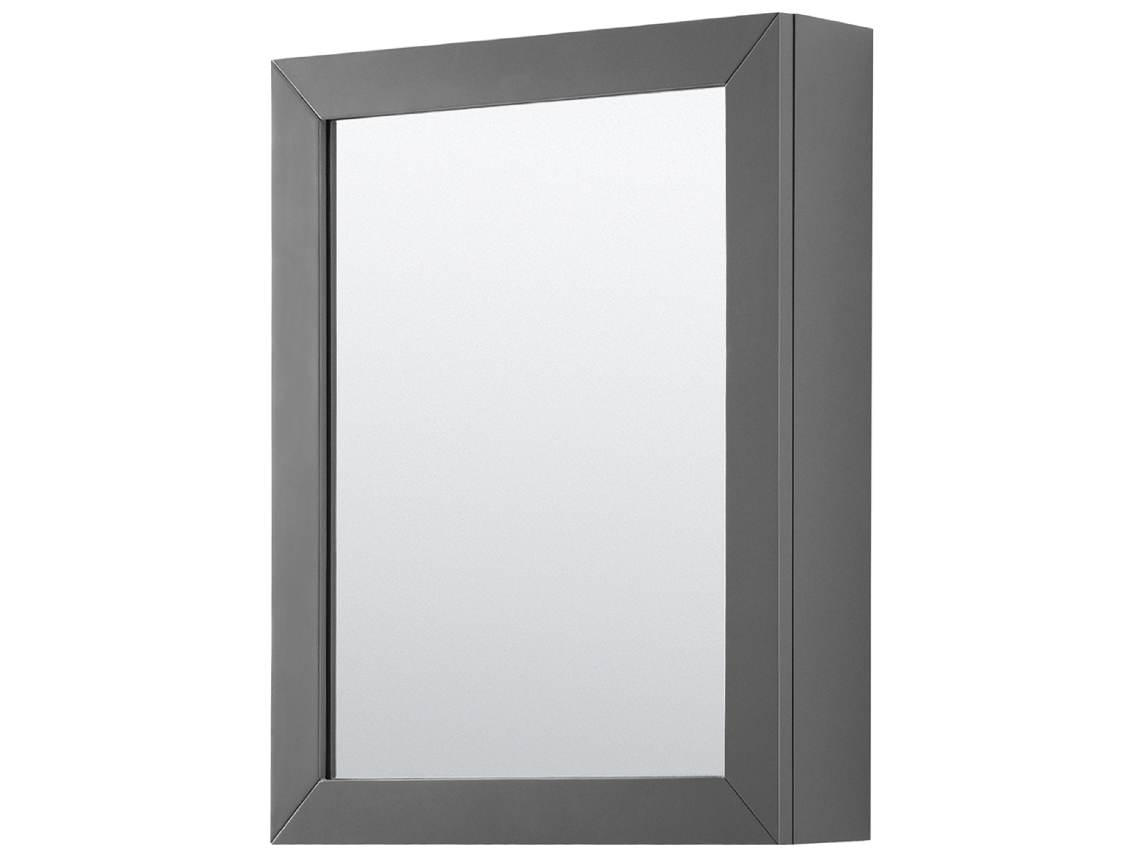 Wyndham Collection Daria 47" Dark Gray Vanity with Medicine Cabinet