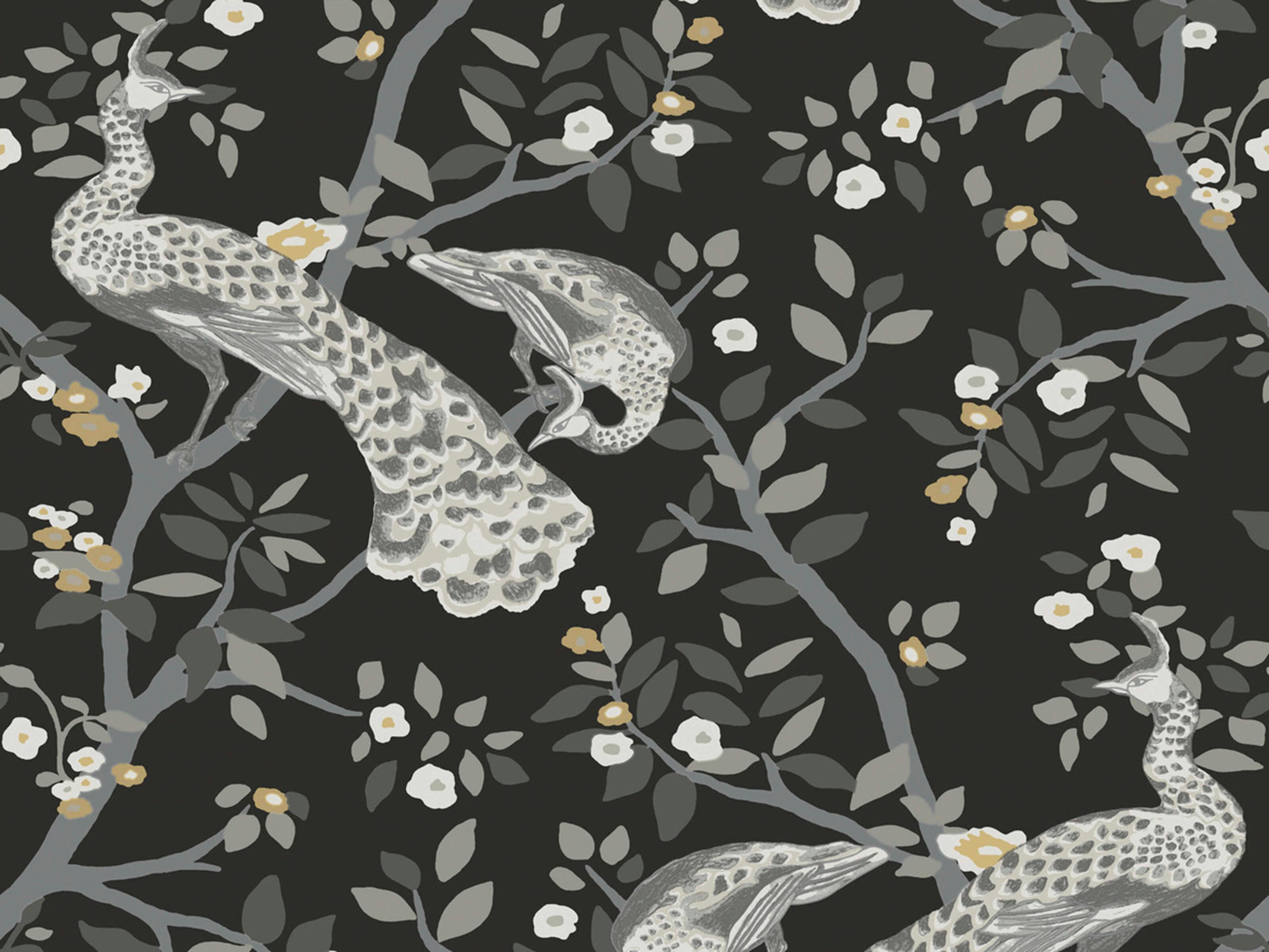 York Wallcoverings Black & White Resource Library Black Gold Plume Wallpaper