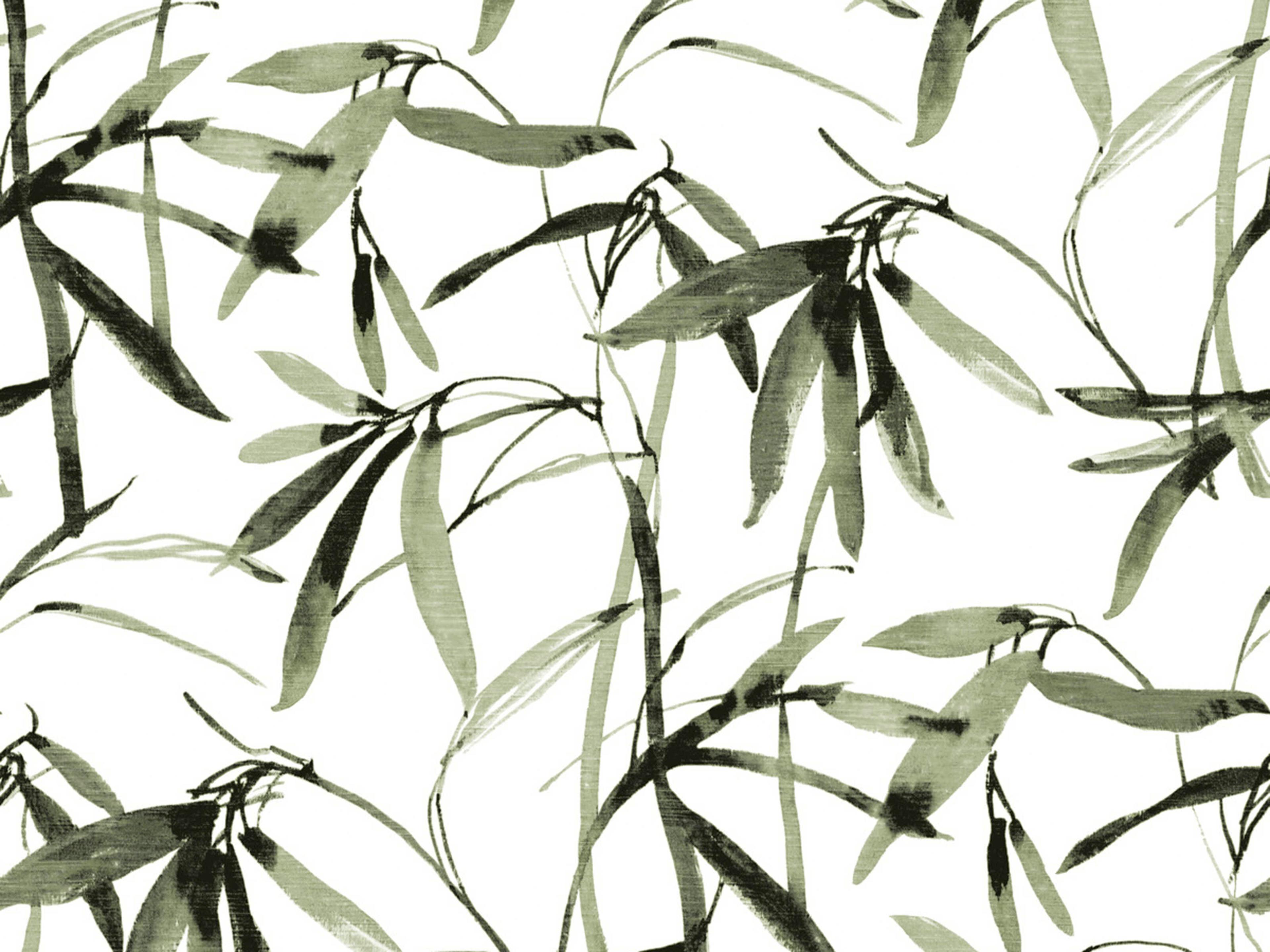 York Wallcoverings Black & White Resource Library Green Black Bamboo Ink Wallpaper