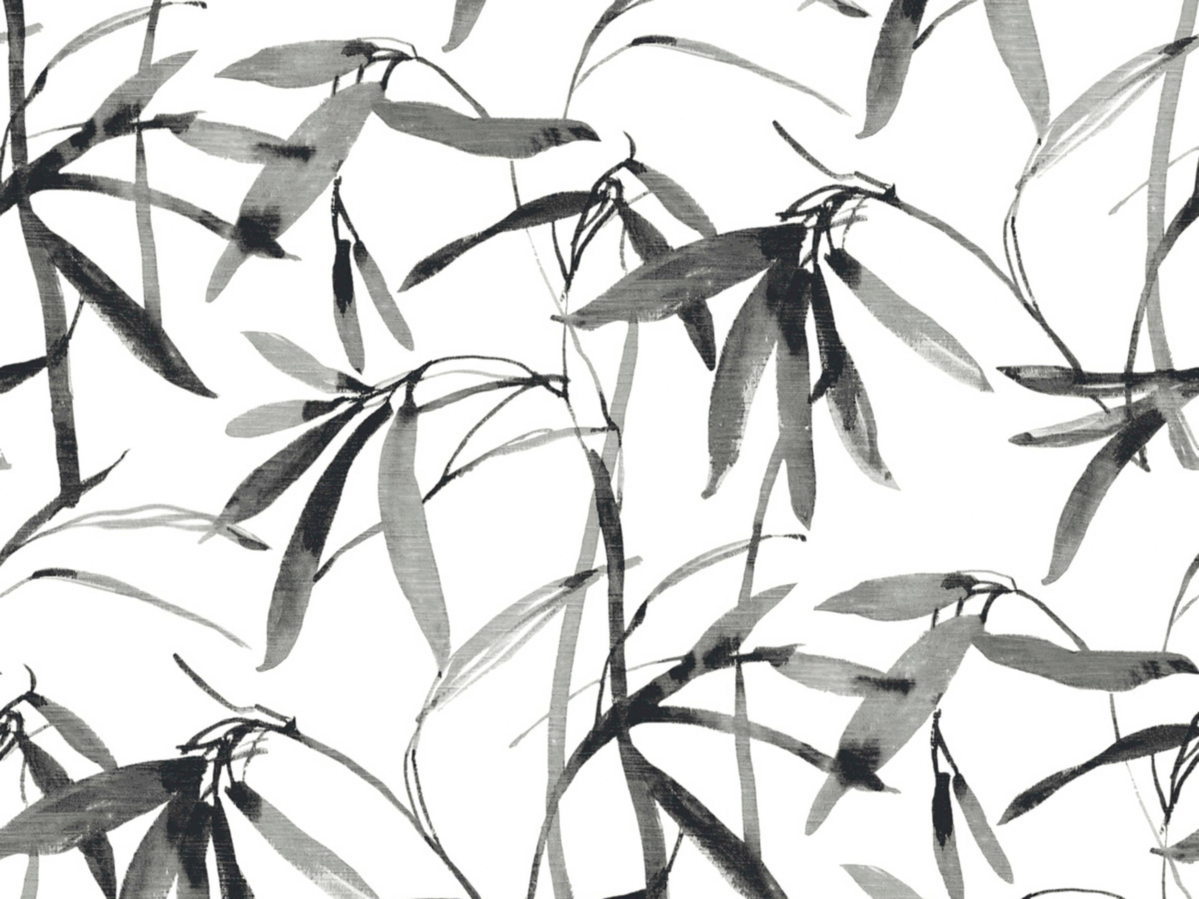 York Wallcoverings Black & White Resource Library Black White Bamboo Ink Wallpaper