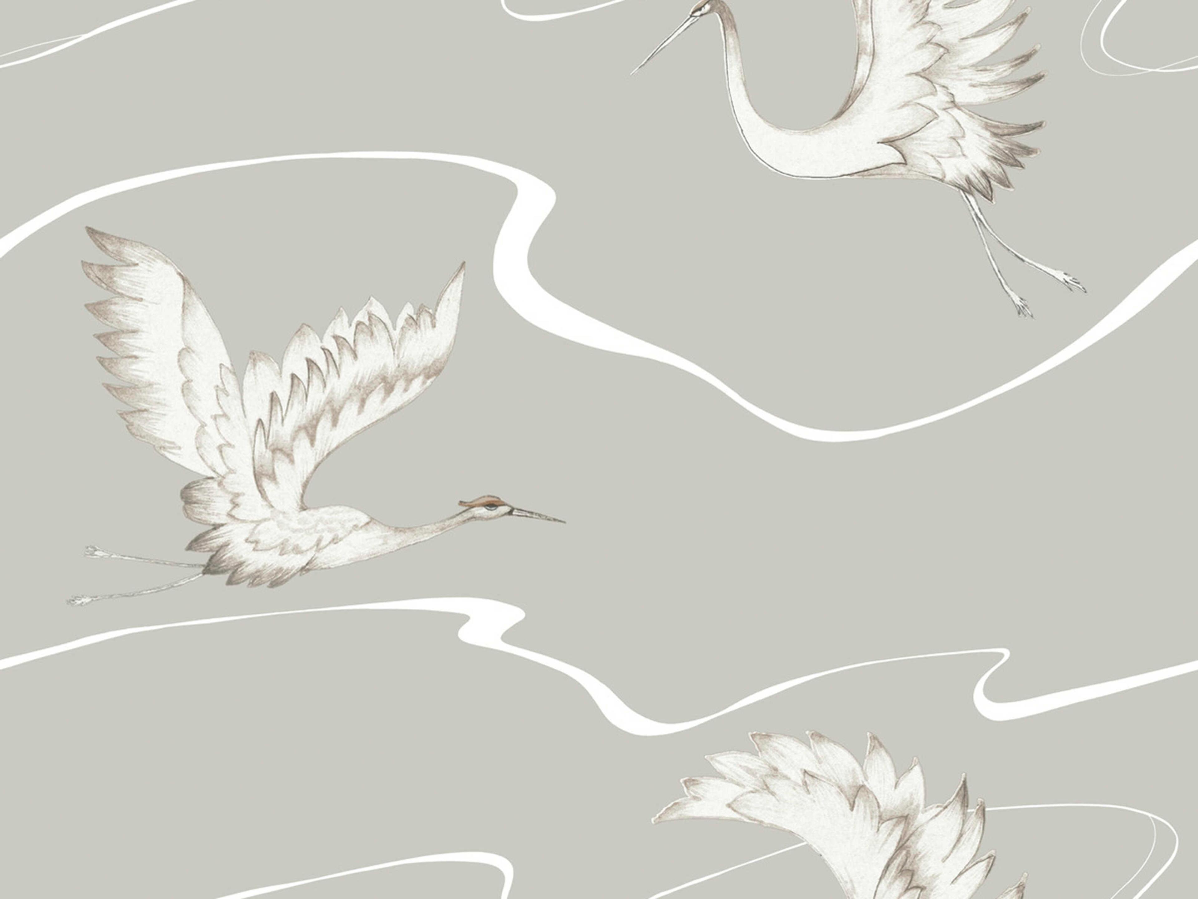 York Wallcoverings Black & White Resource Library Taupe Soaring Cranes Wallpaper