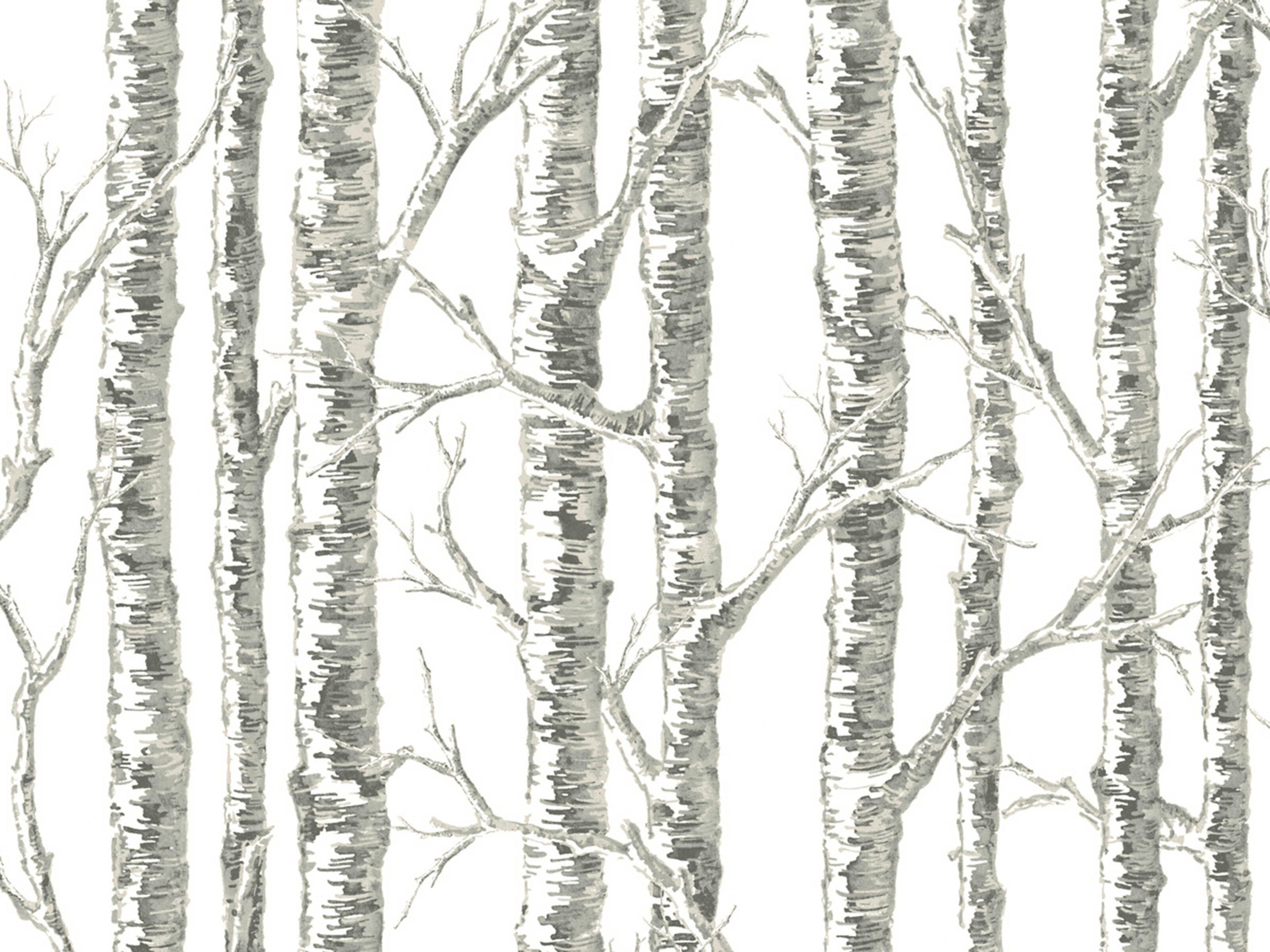 York Wallcoverings Black & White Resource Library White Grey Paper Birch Wallpaper
