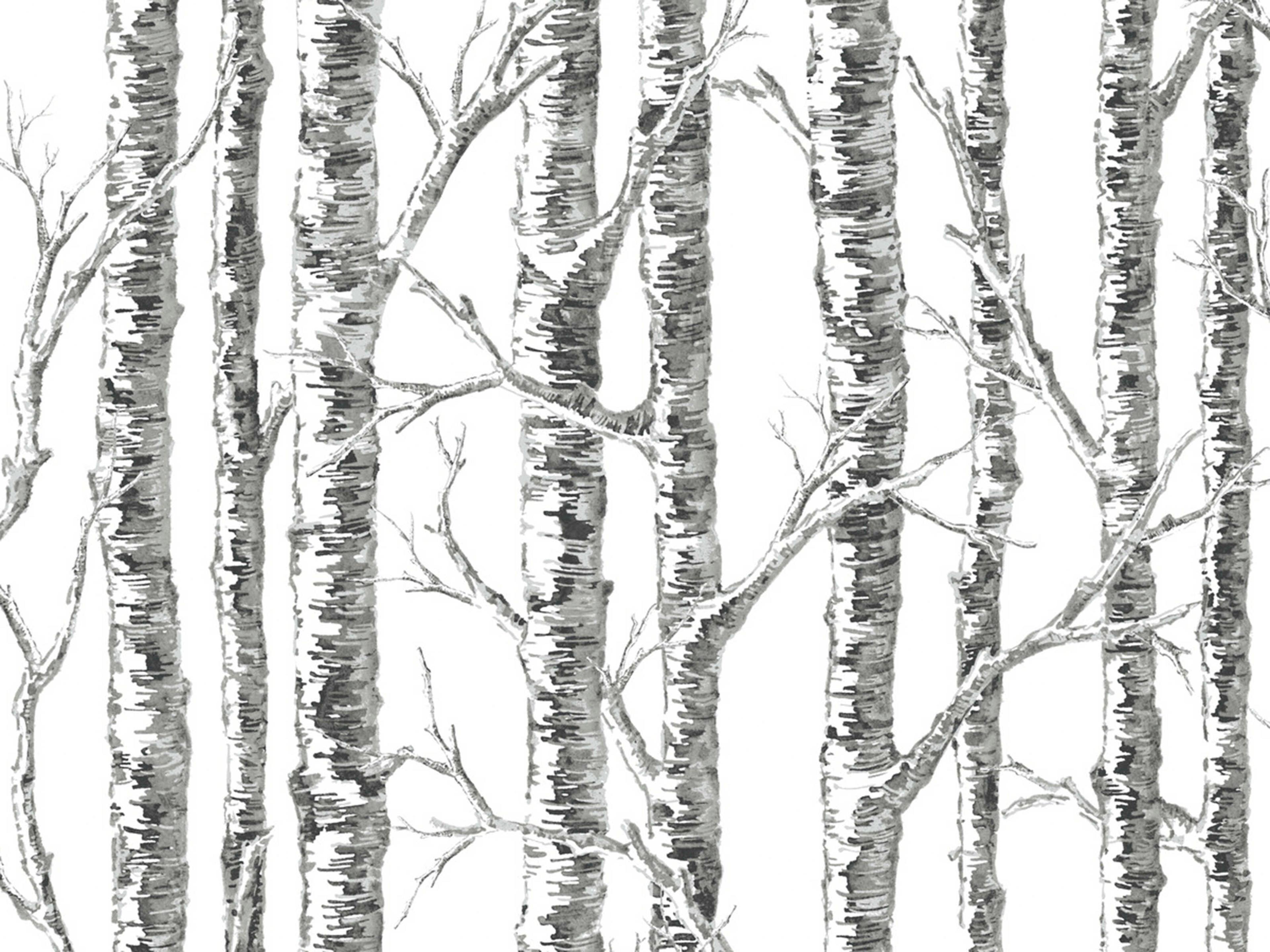 York Wallcoverings Black & White Resource Library Black White Paper Birch Wallpaper