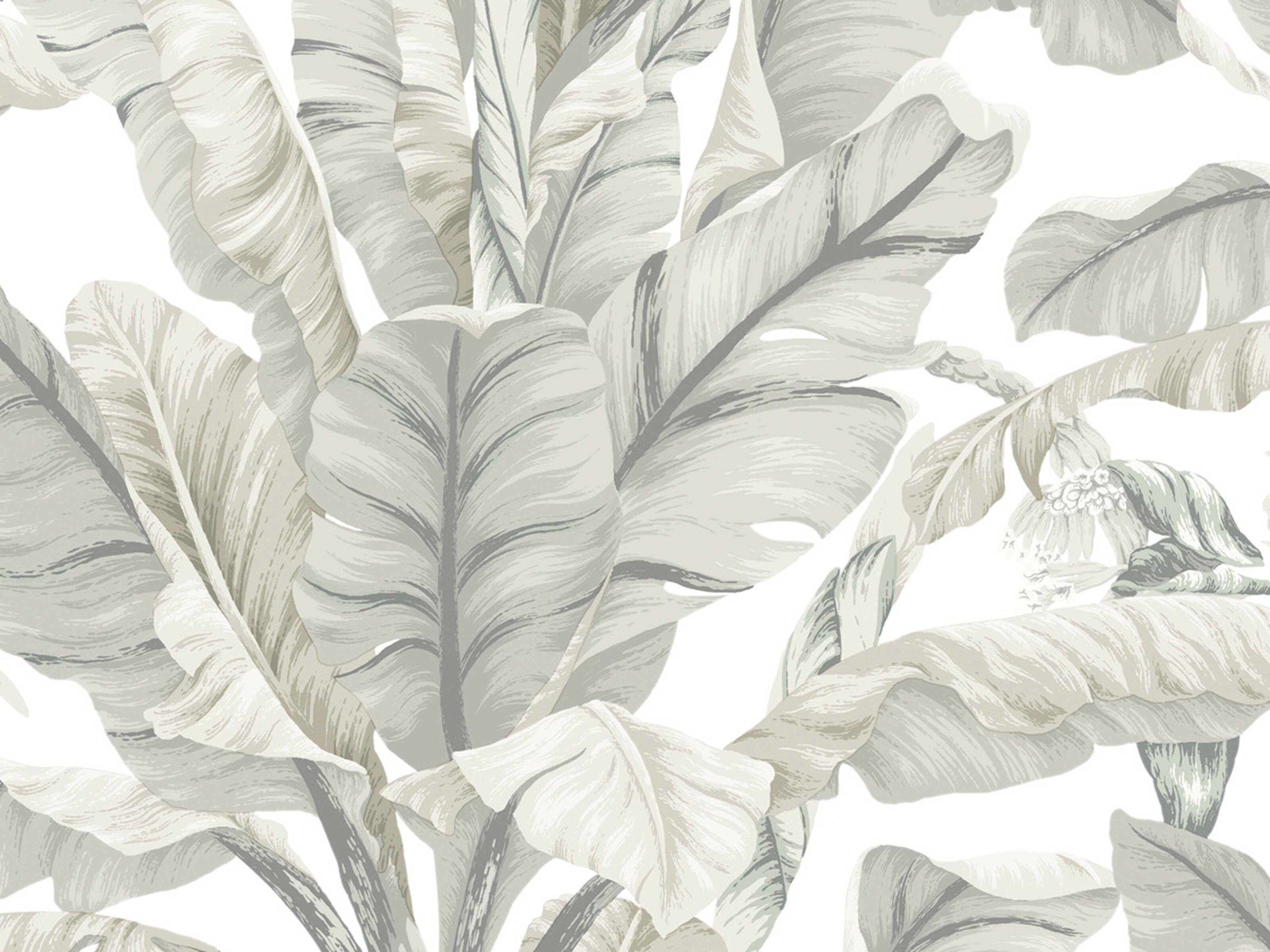 York Wallcoverings Black & White Resource Library White Cream Banana Leaf Wallpaper