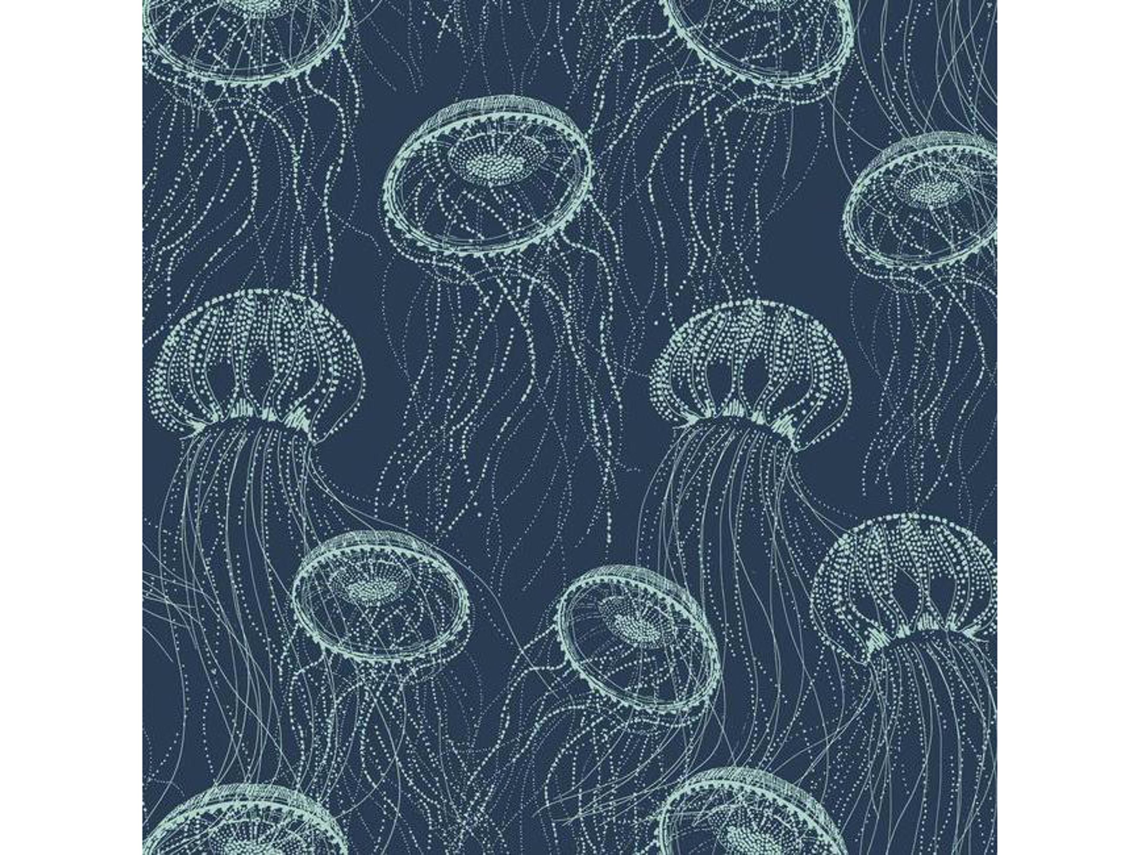 Coastal Calm Atolla Paper Strippable Wallpaper in Blue