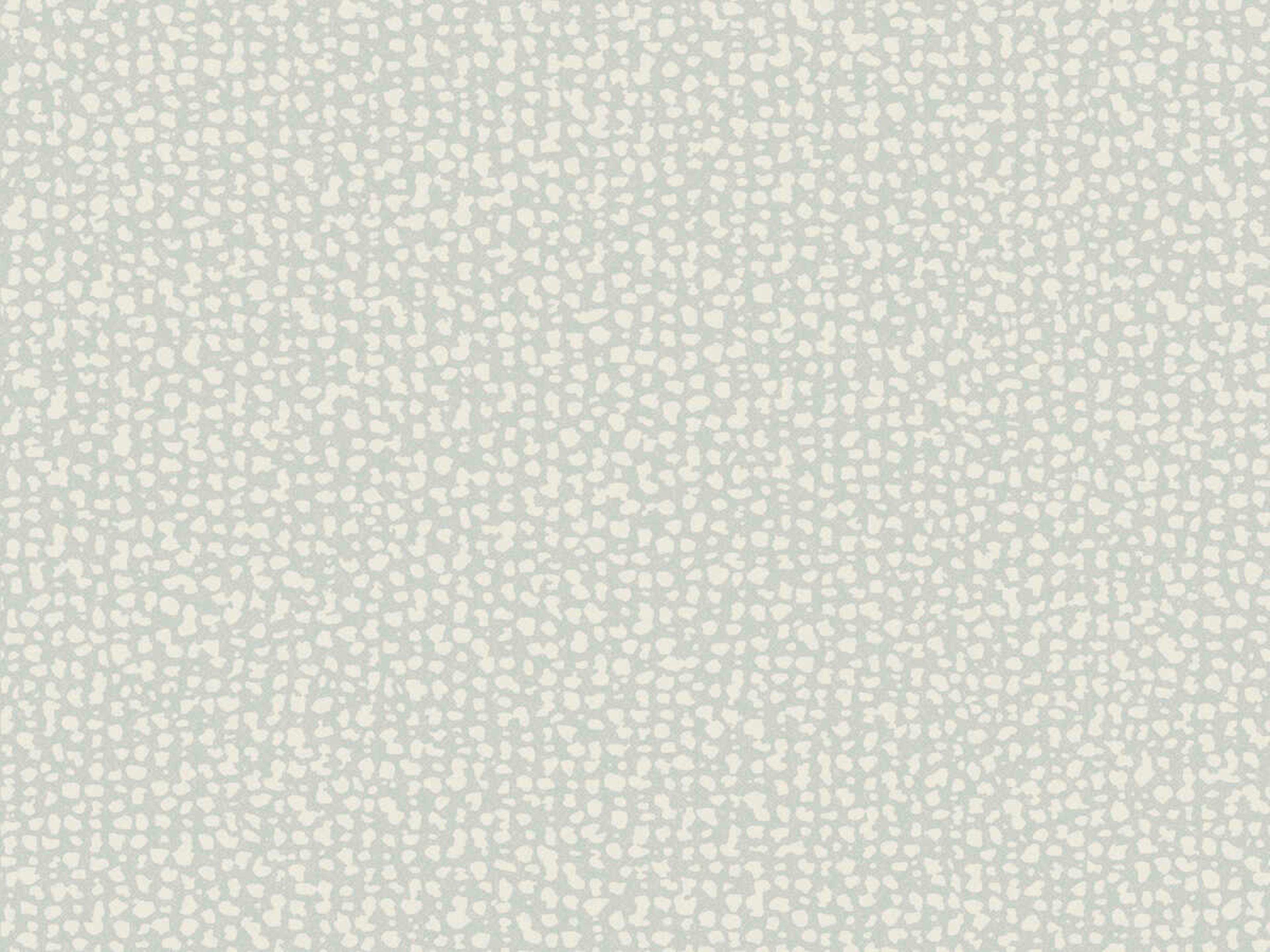 York Wallcoverings Antonina Vella Dazzling Dimensions Volume II Grey Galaxies Wallpaper