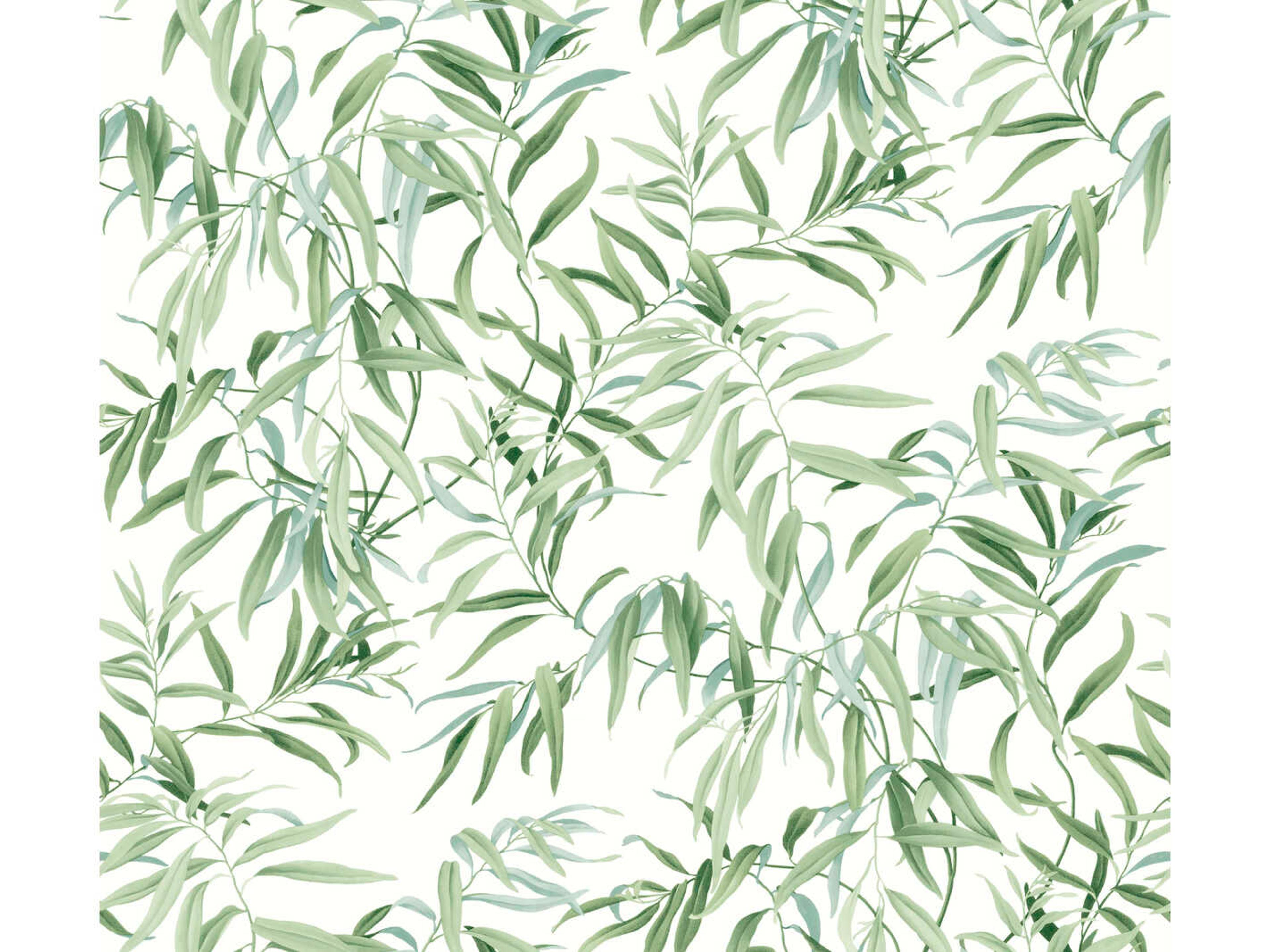 York Wallcoverings Greenhouse Forest Willow Grove Wallpaper