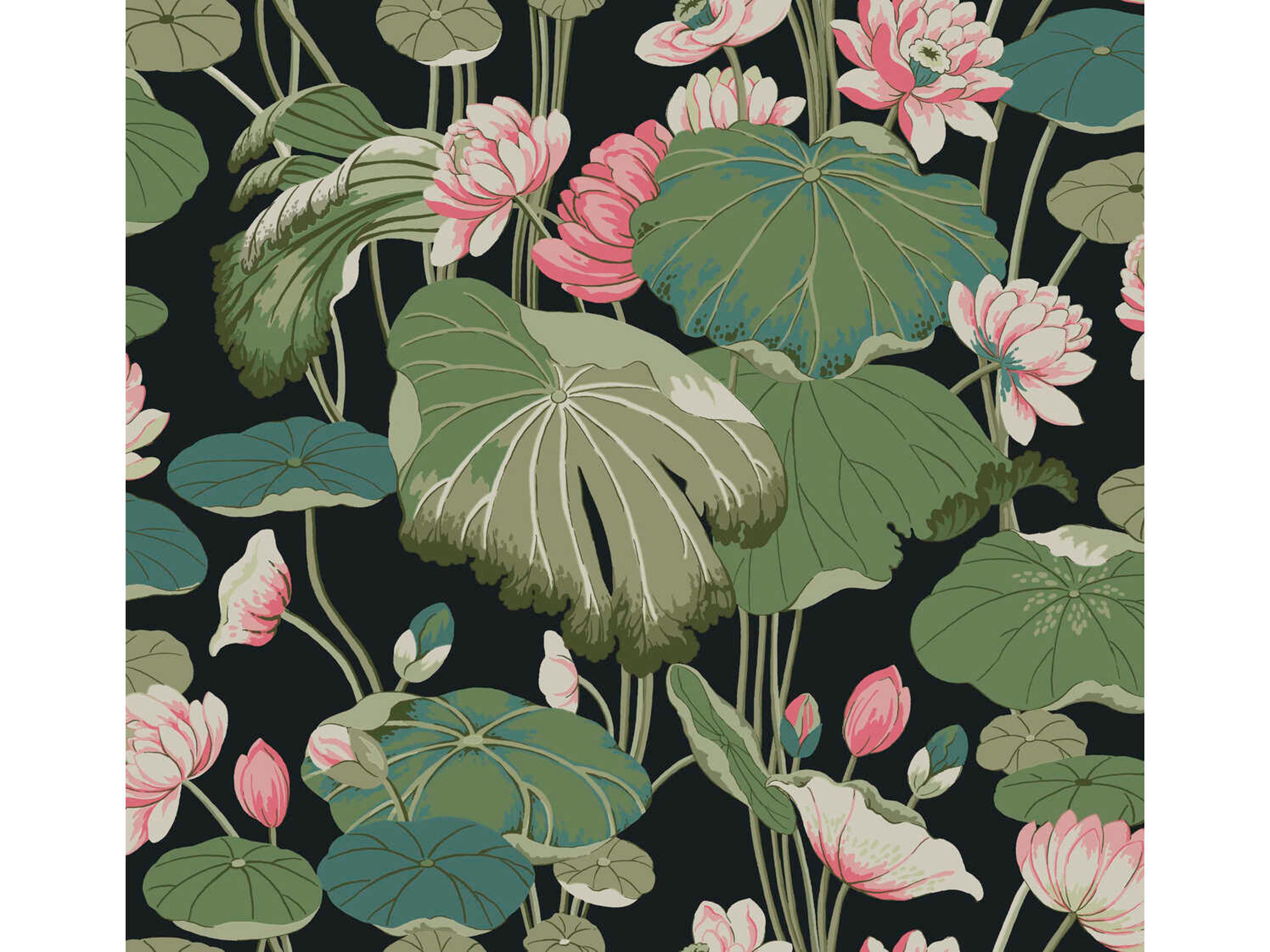 York Wallcoverings Greenhouse Black Pink Lotus Pond Wallpaper