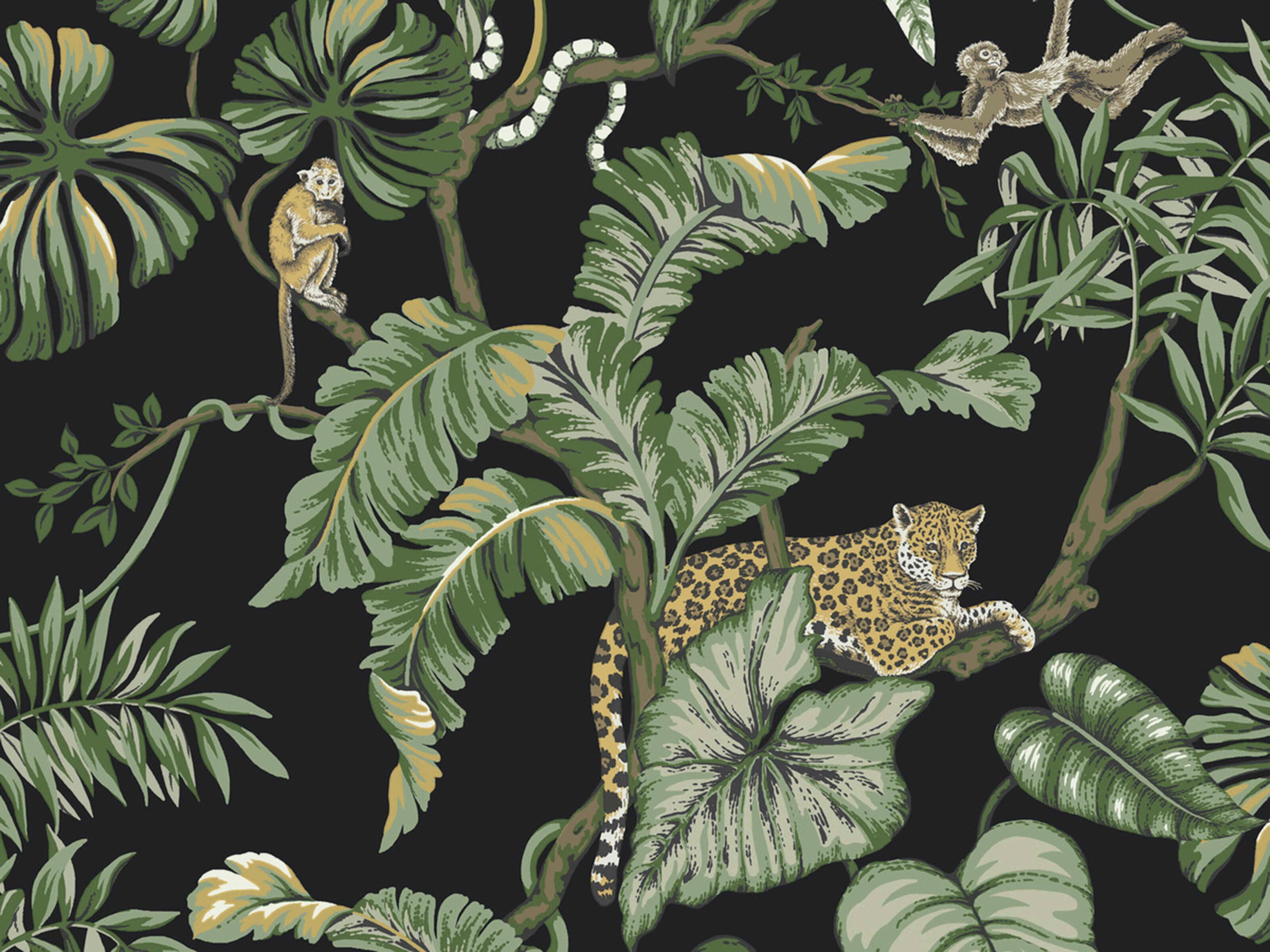 York Wallcoverings Ronald Redding Traveler Black Jungle Cat Wallpaper
