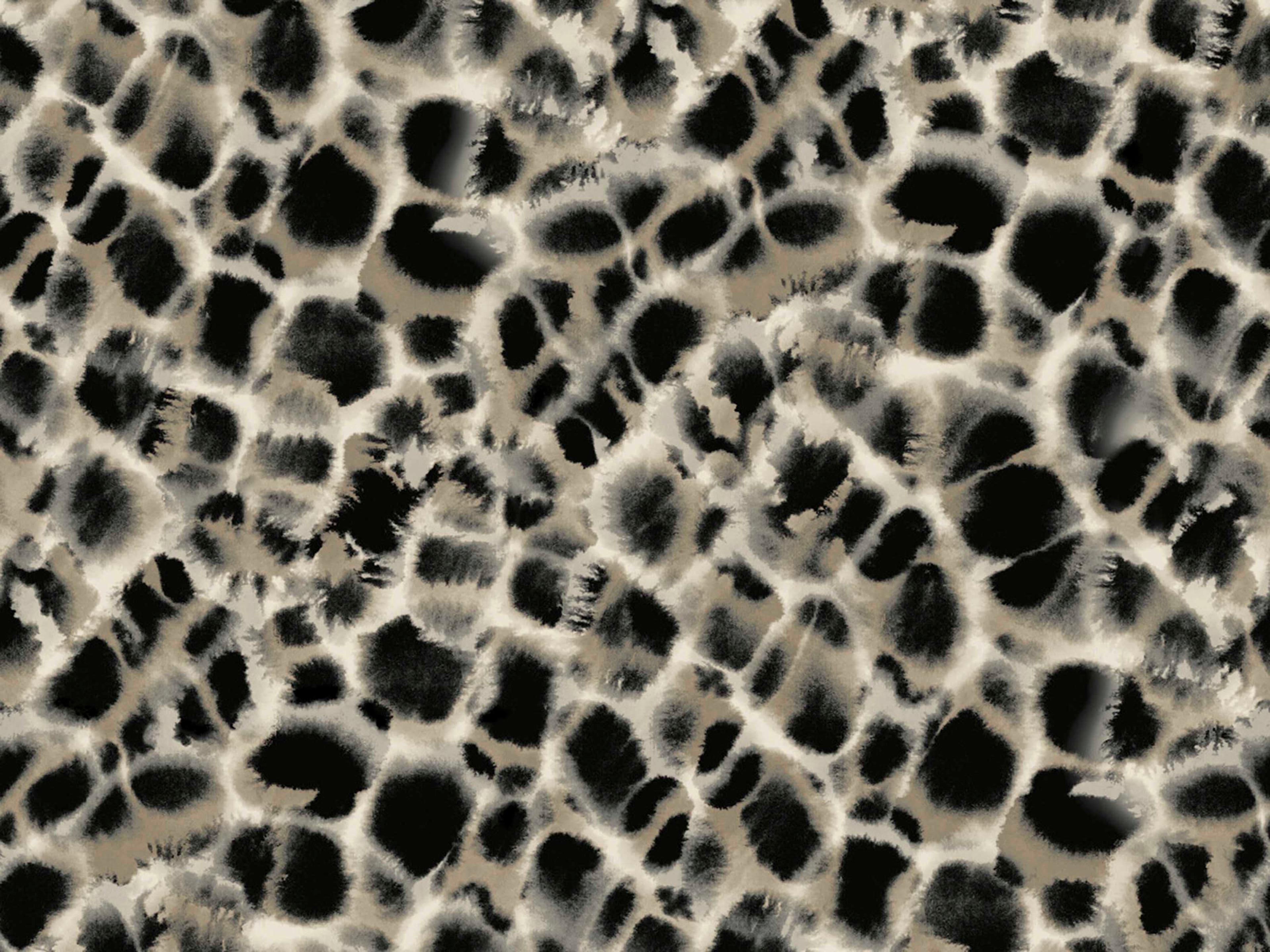 York Wallcoverings Ronald Redding Traveler Black Leopard Rosettes Wallpaper