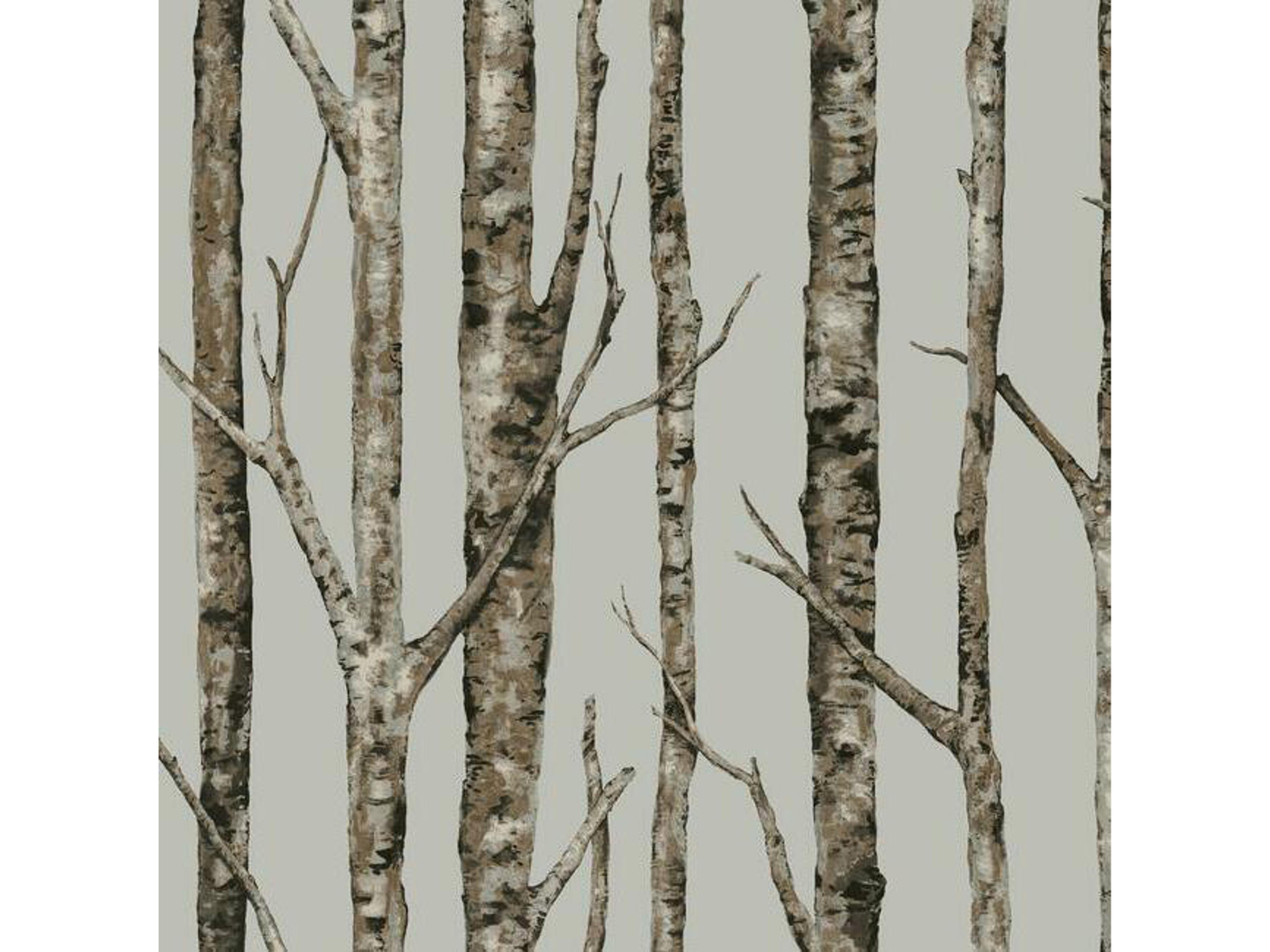Best Sellers Silver Grey Taupe The Birches Wallpaper