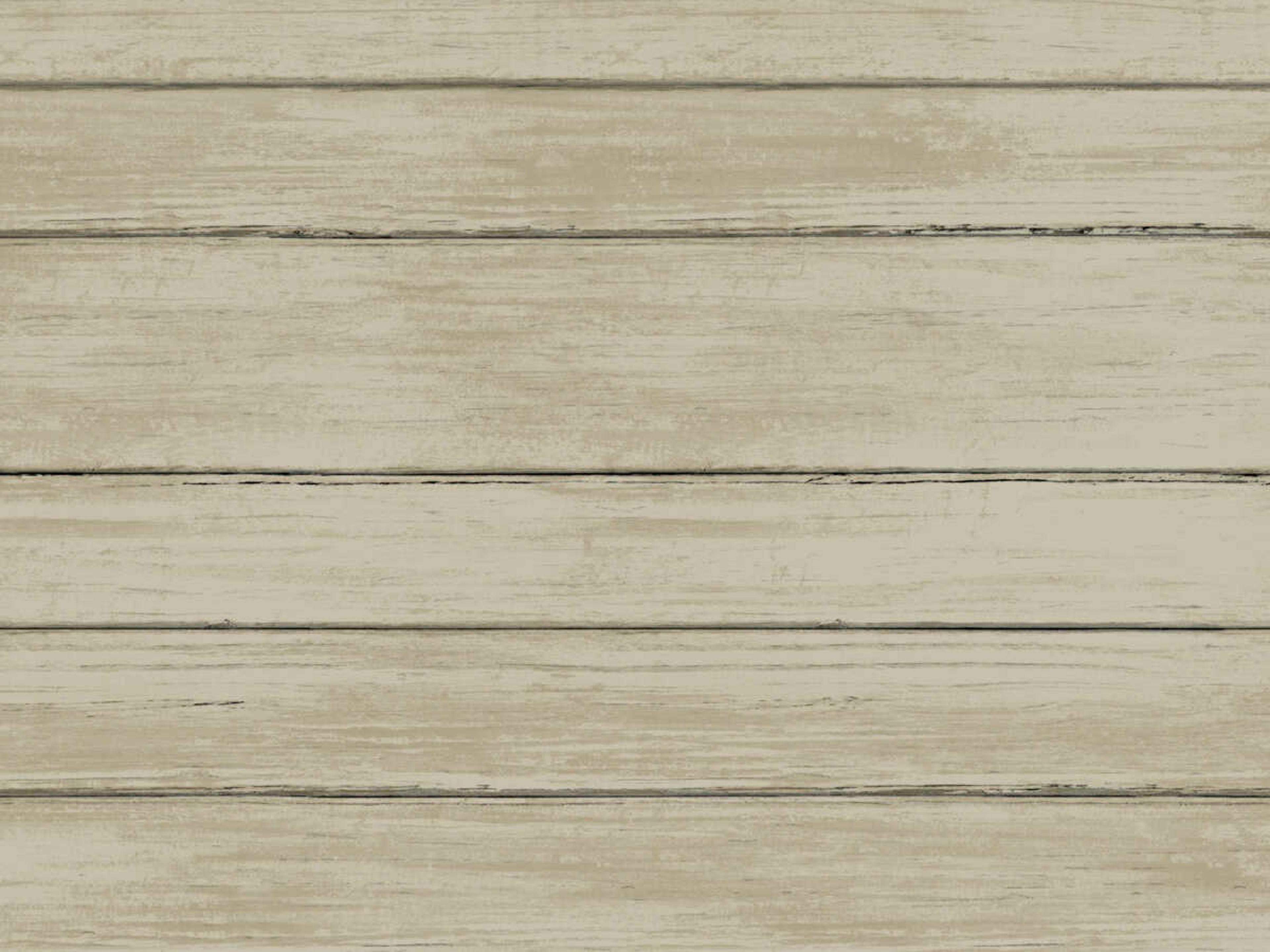 York Wallcoverings Natural Digest Beige Broad Side Wallpaper