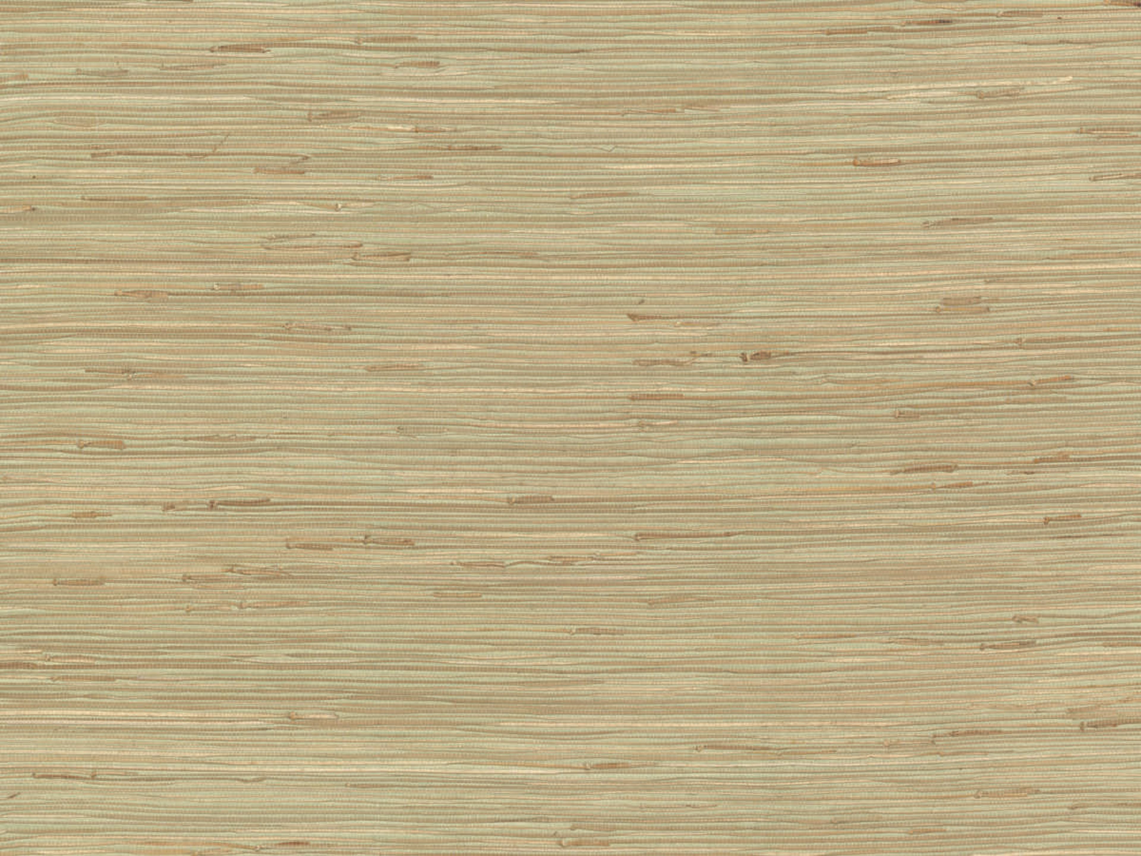 York Wallcoverings Grasscloth Resource Library Green / Beige River Grass Wallpaper