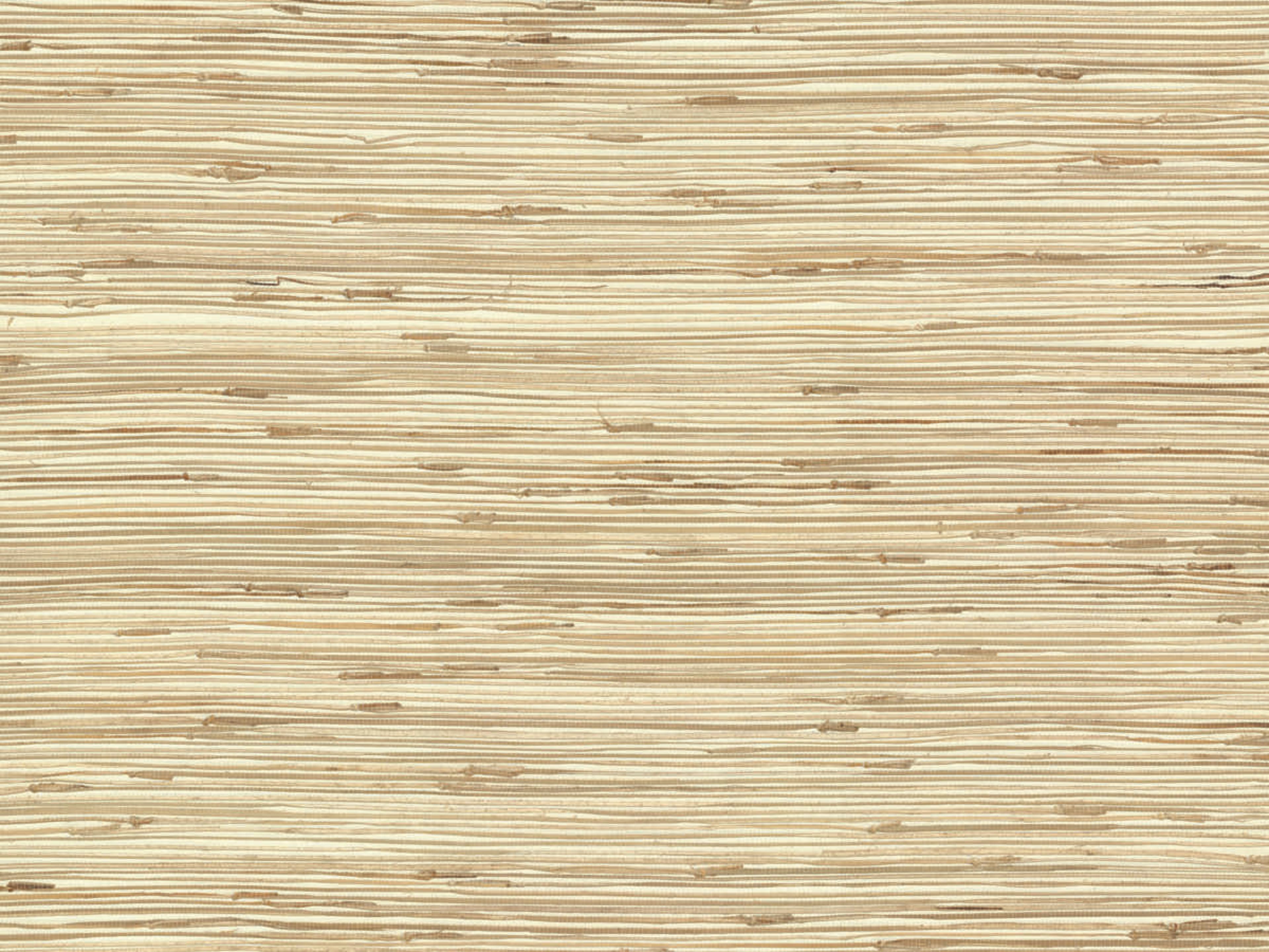 York Wallcoverings Grasscloth Resource Library Beige / Taupe River Grass Wallpaper