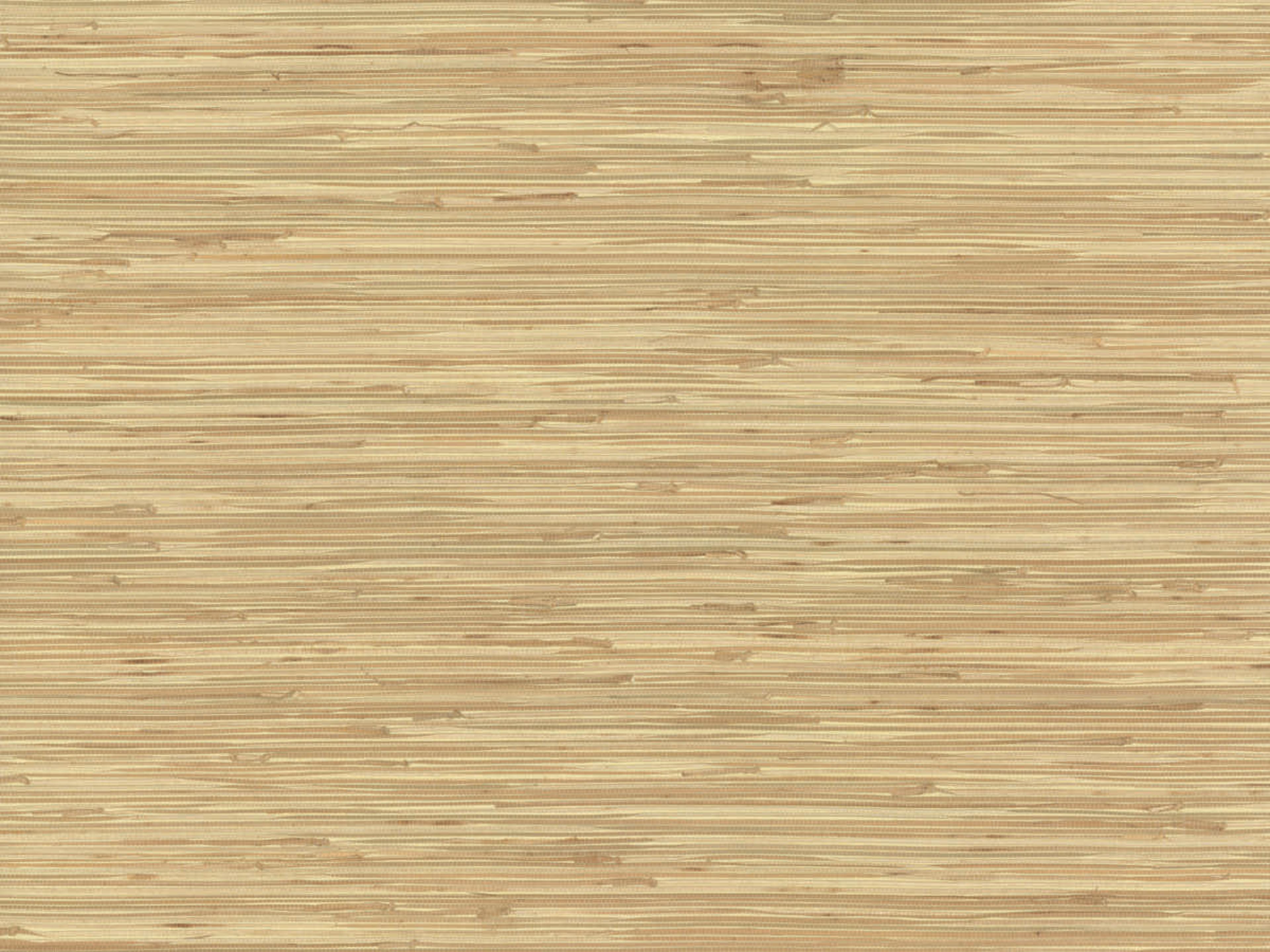 York Wallcoverings Grasscloth Resource Library Beige River Grass Wallpaper