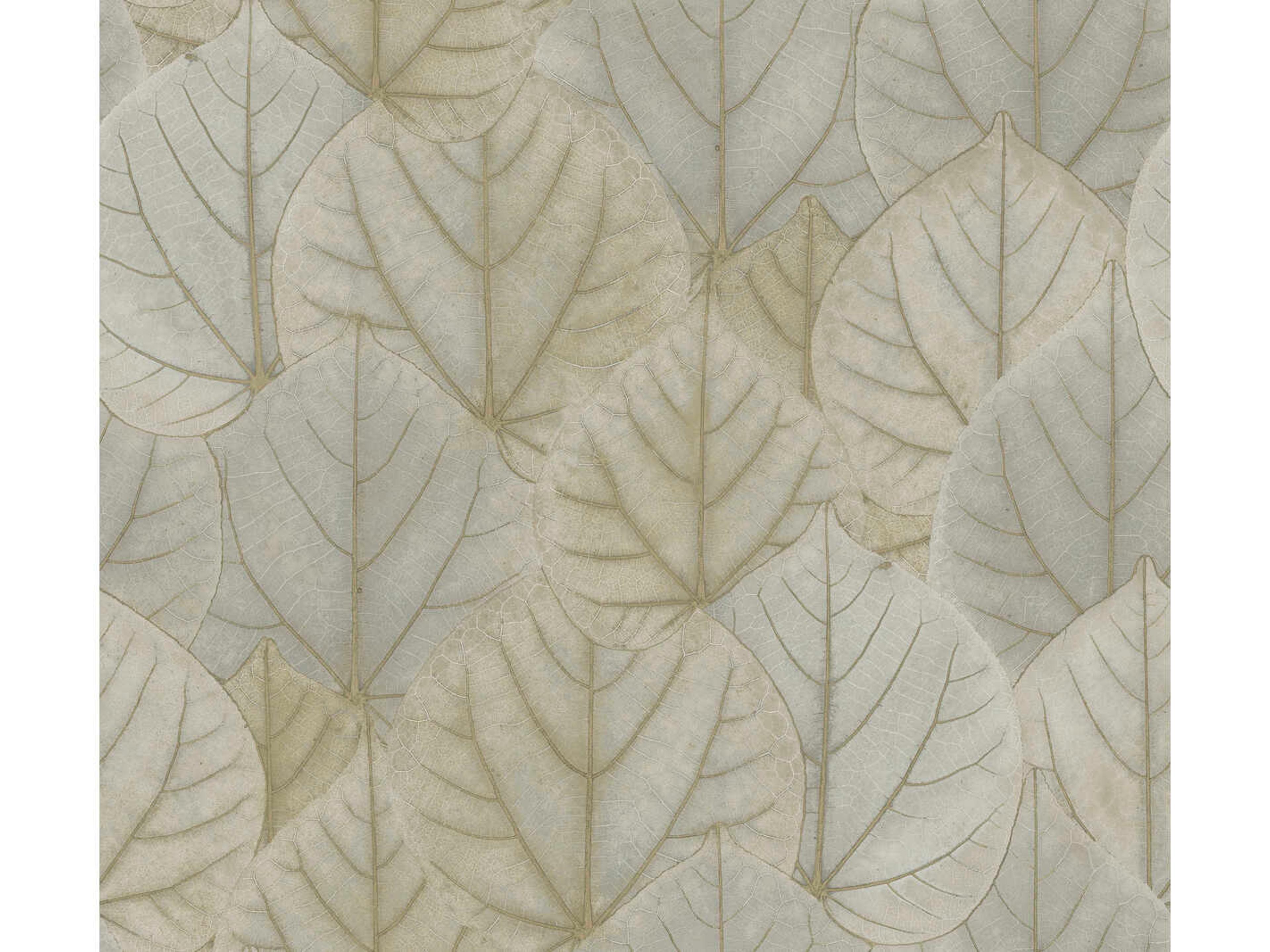 York Wallcoverings Modern Nature 2nd Edition Taupe Leaf Concerto Wallpaper