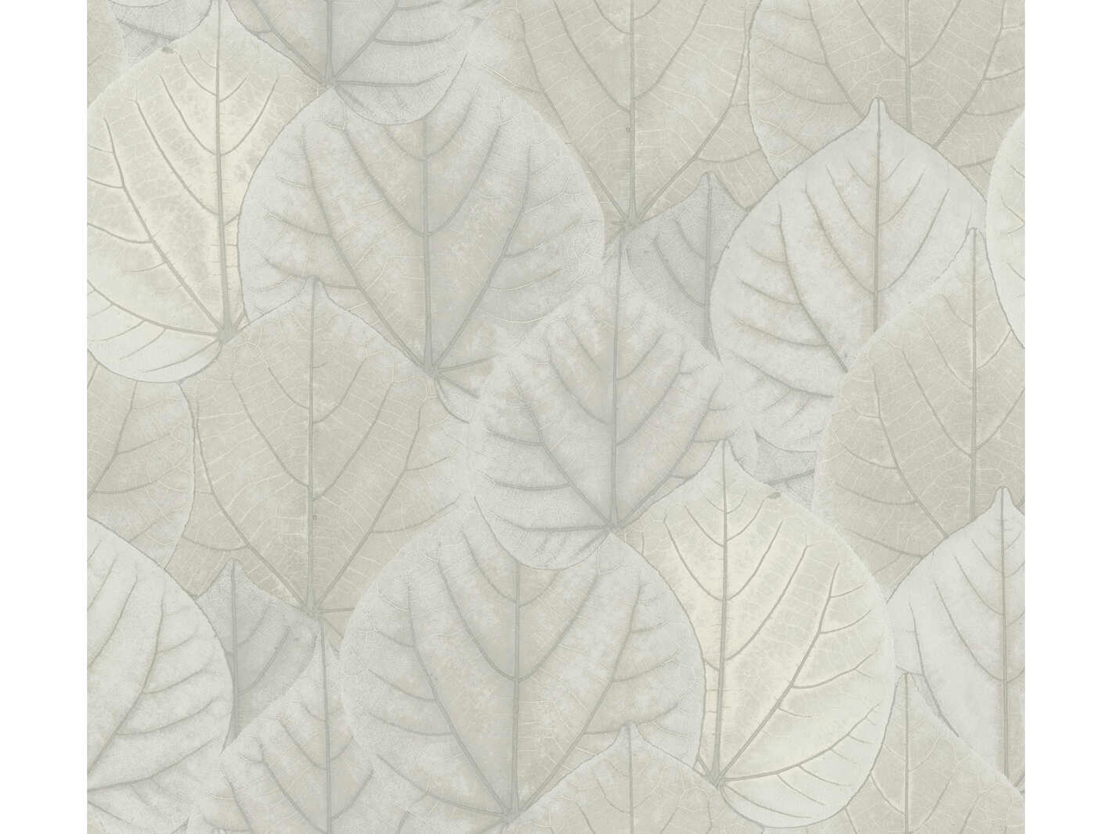 York Wallcoverings Modern Nature 2nd Edition Grey Leaf Concerto Wallpaper