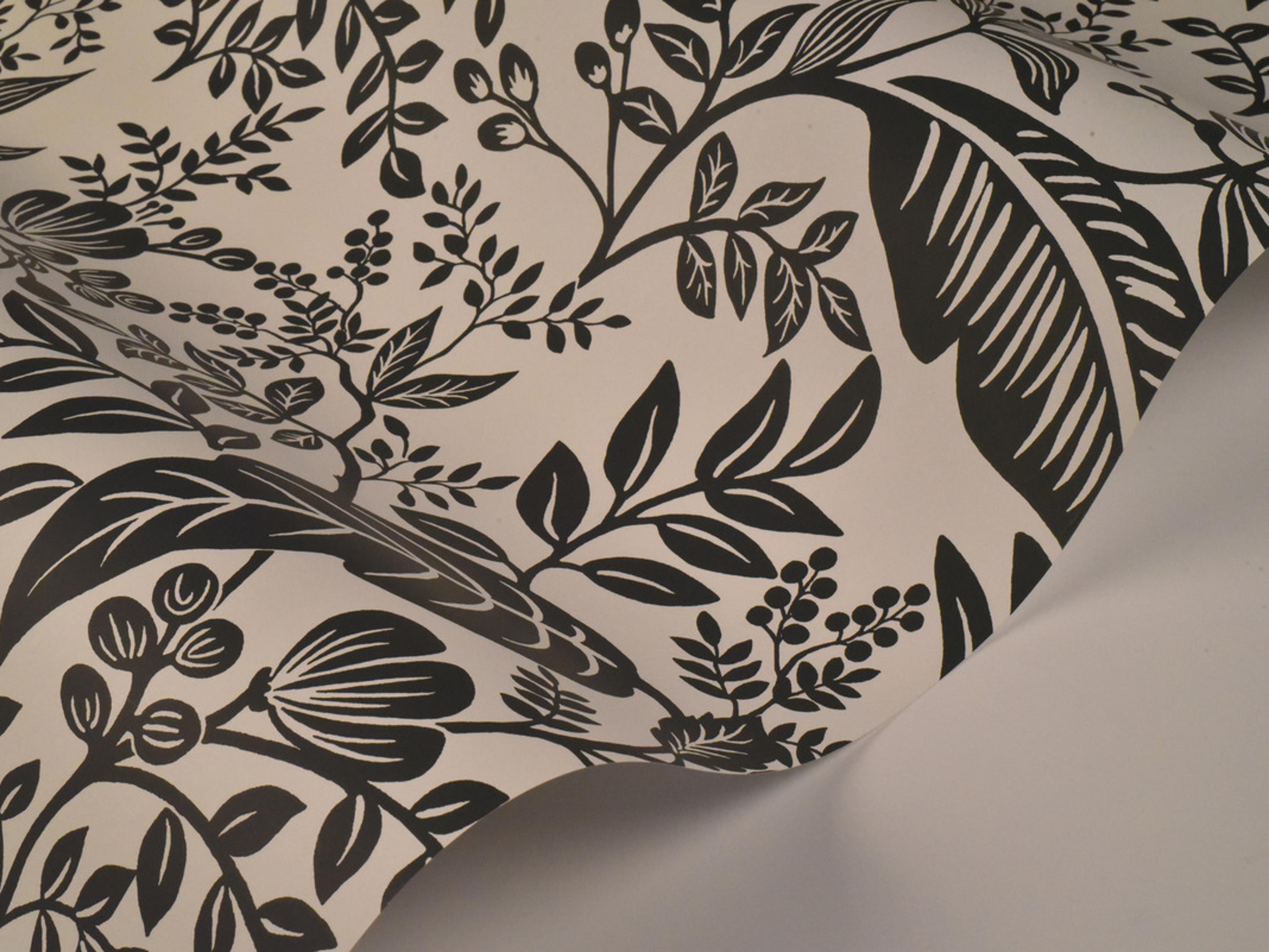 York Wallcoverings Black / White Canopy Wallpaper