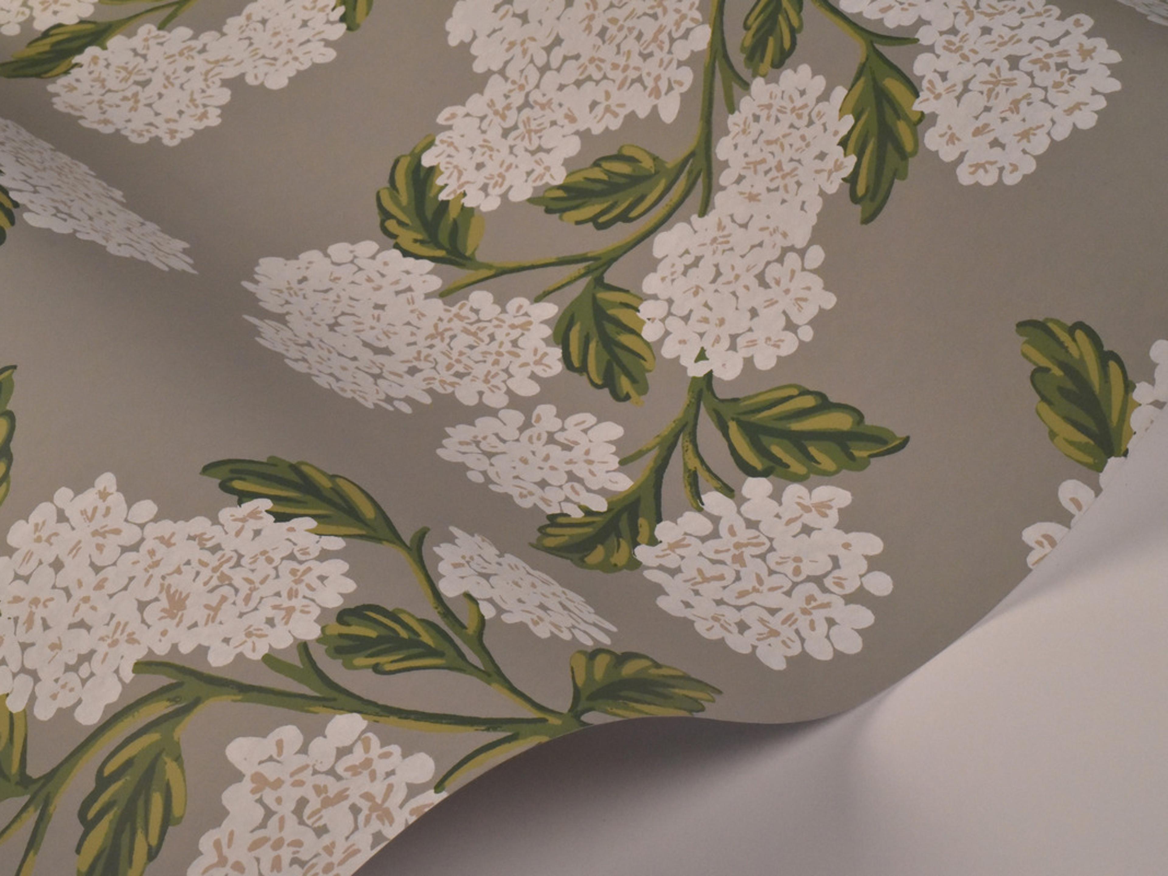 York Wallcoverings Gray Hydrangea Wallpaper