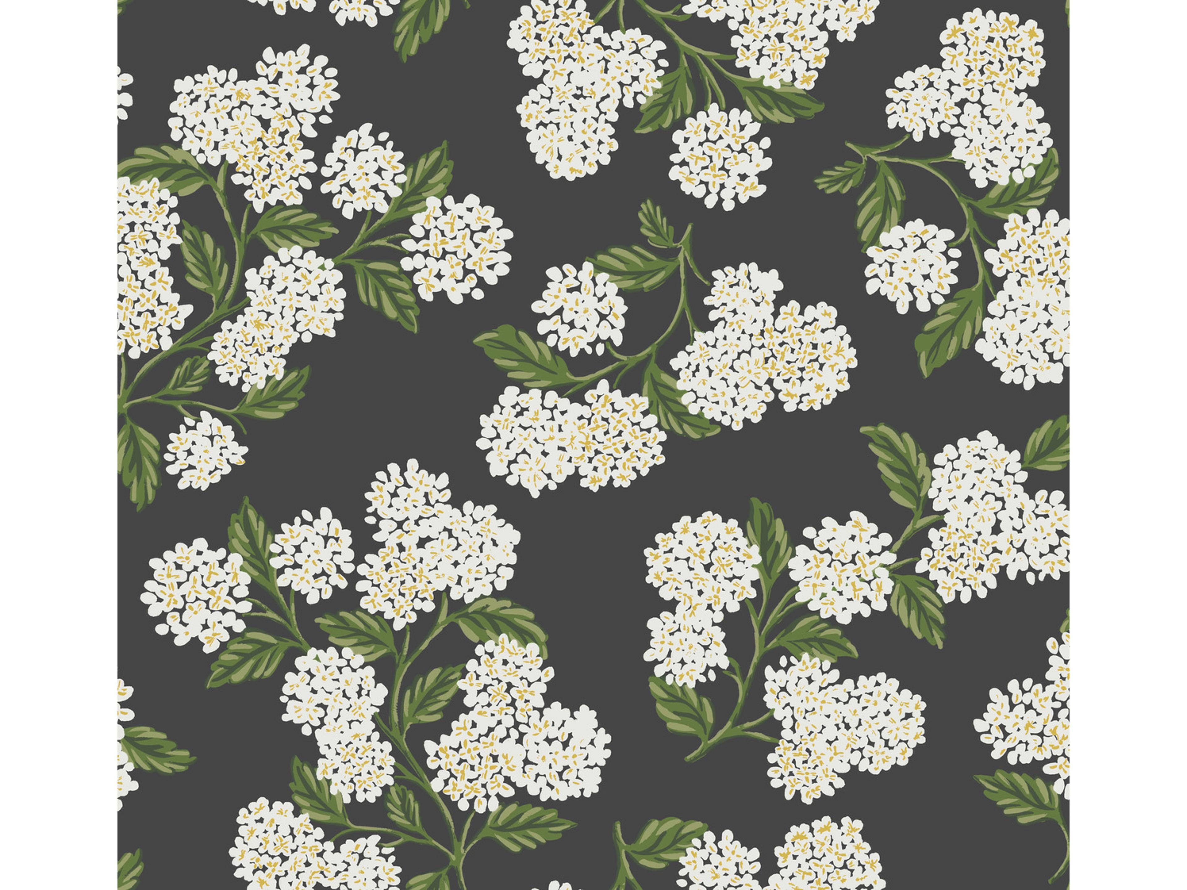 York Wallcoverings Black / White Hydrangea Wallpaper