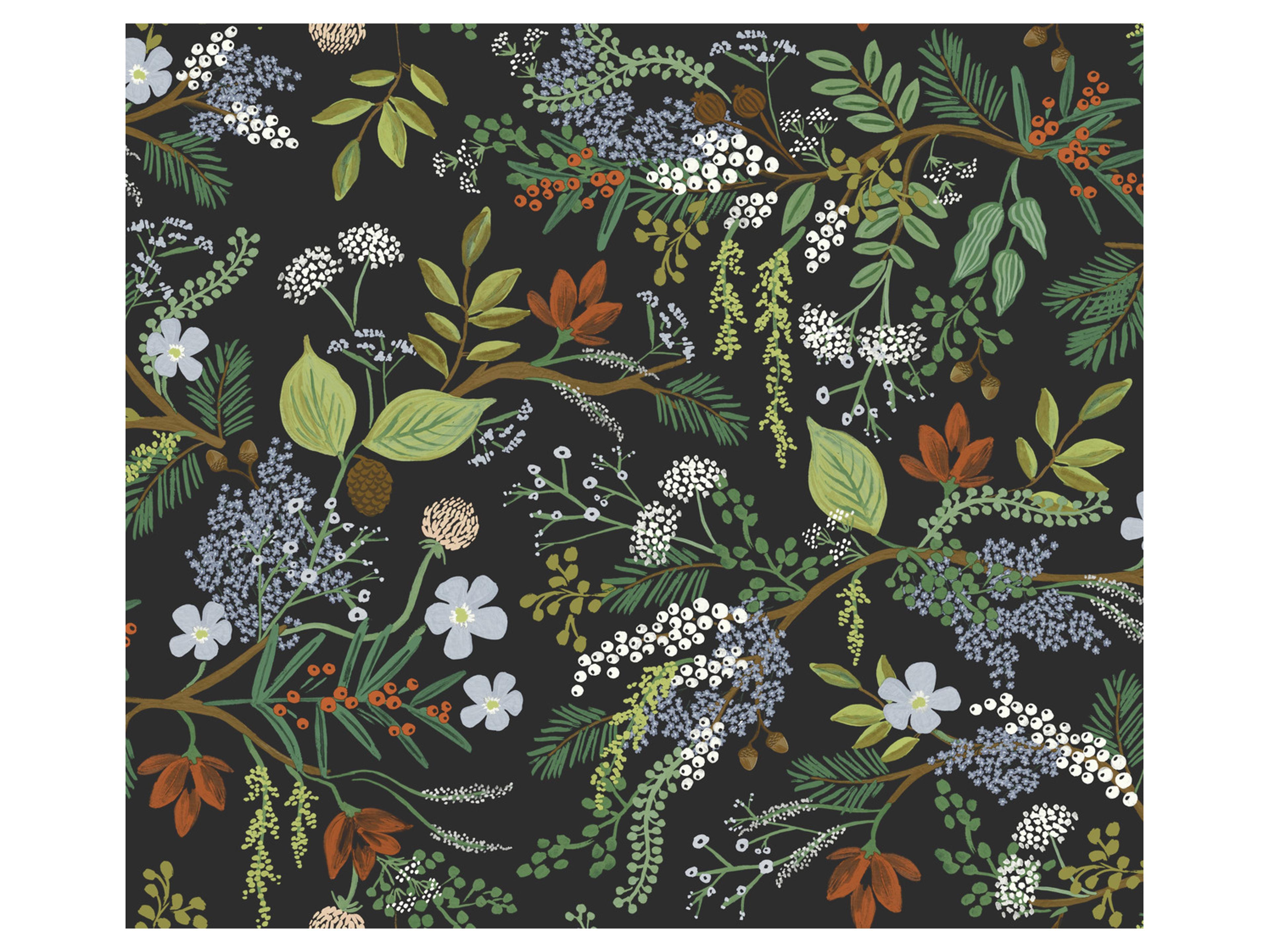 York Wallcoverings Black Juniper Forest Wallpaper