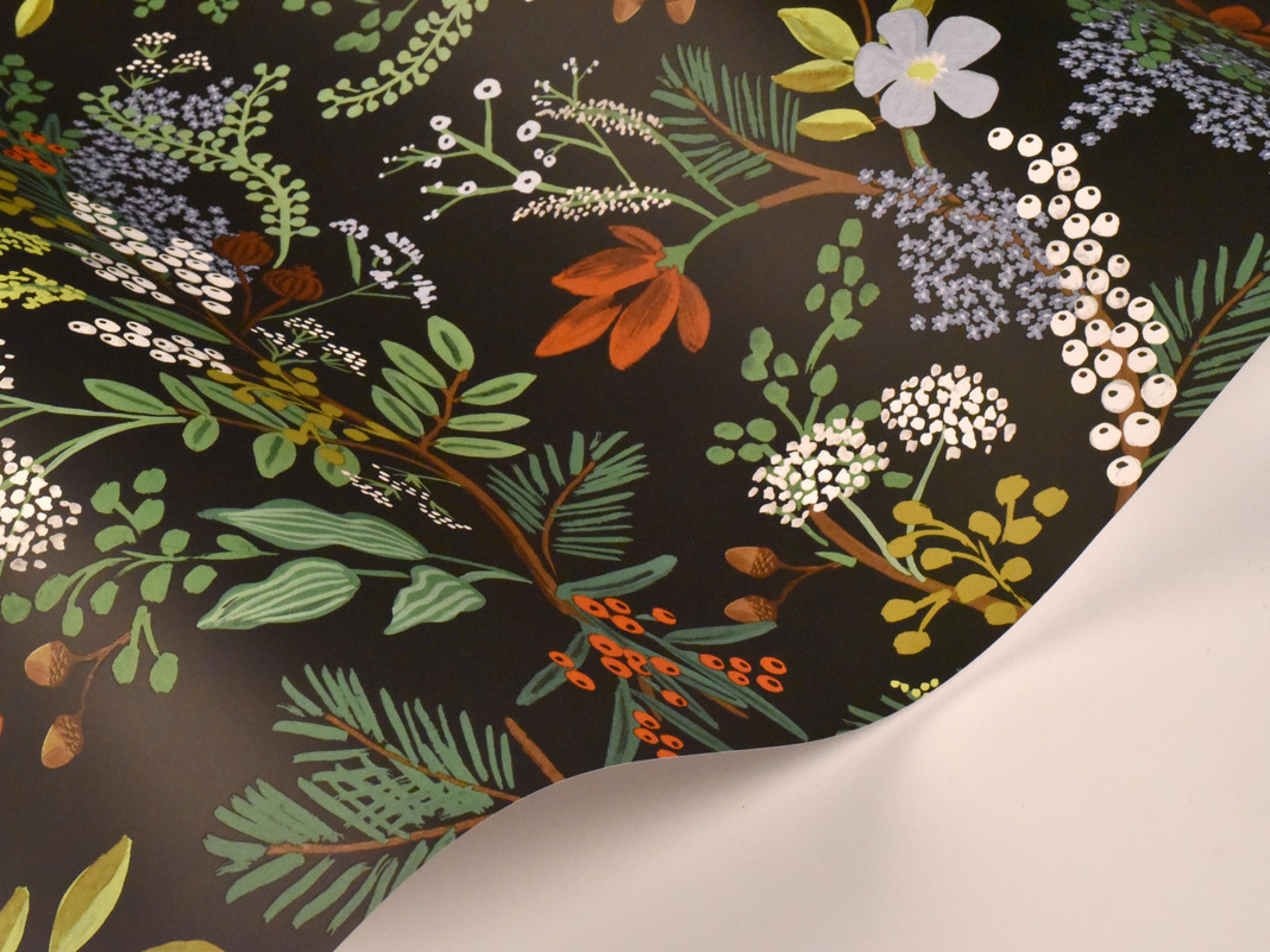 York Wallcoverings Black Juniper Forest Wallpaper