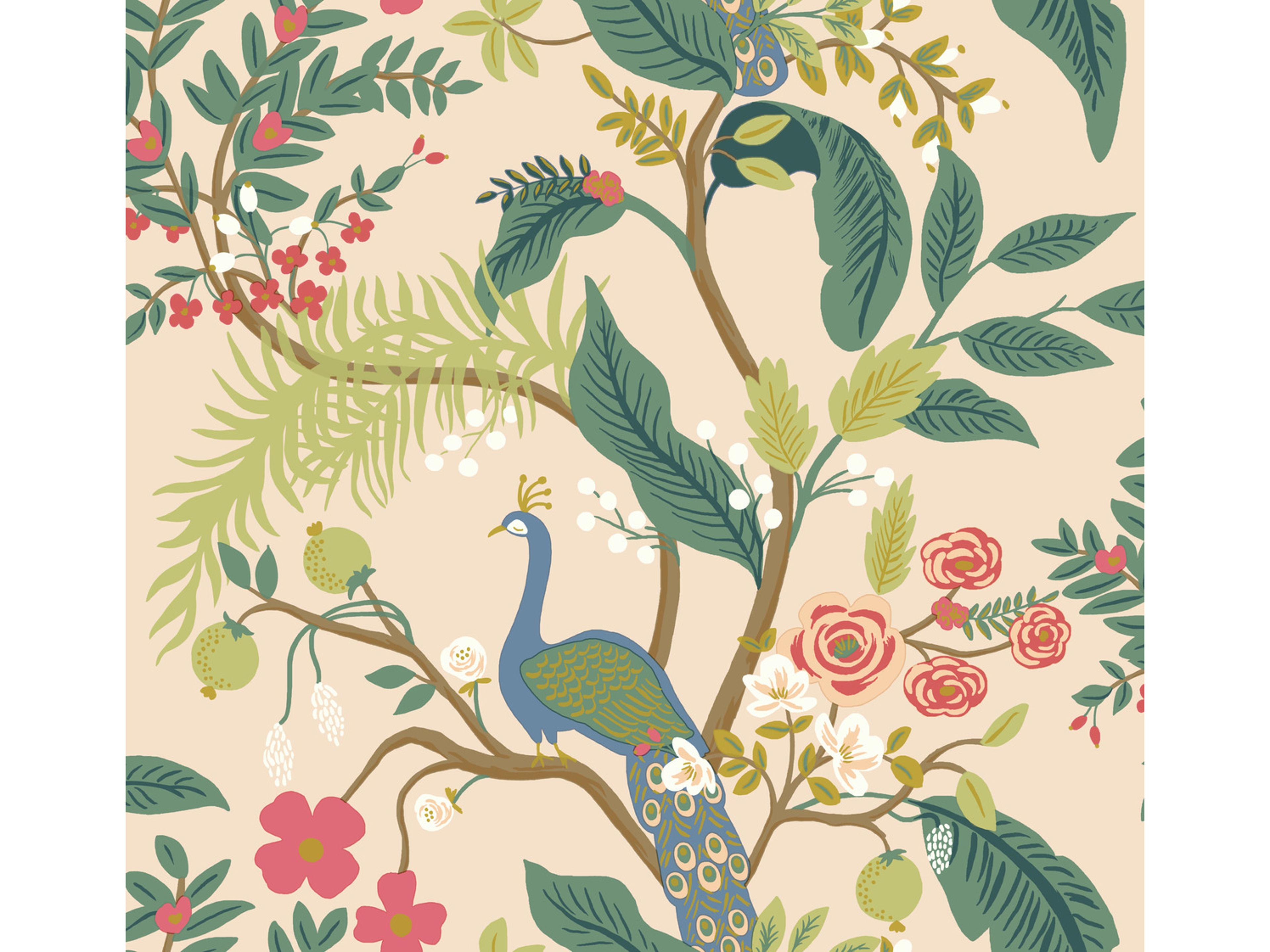 York Wallcoverings Light Pink Peacock Wallpaper