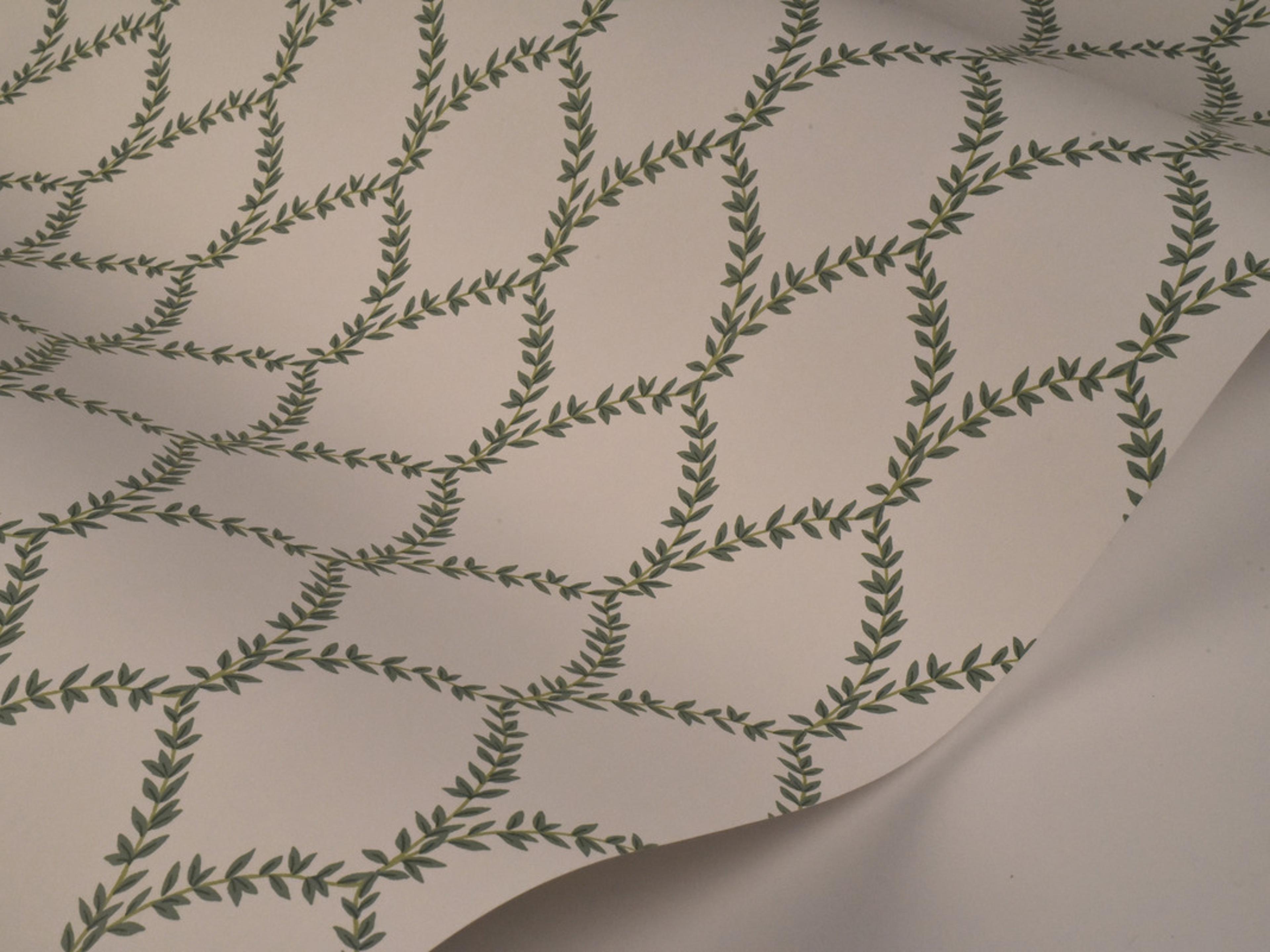 York Wallcoverings Green / White Laurel Wallpaper
