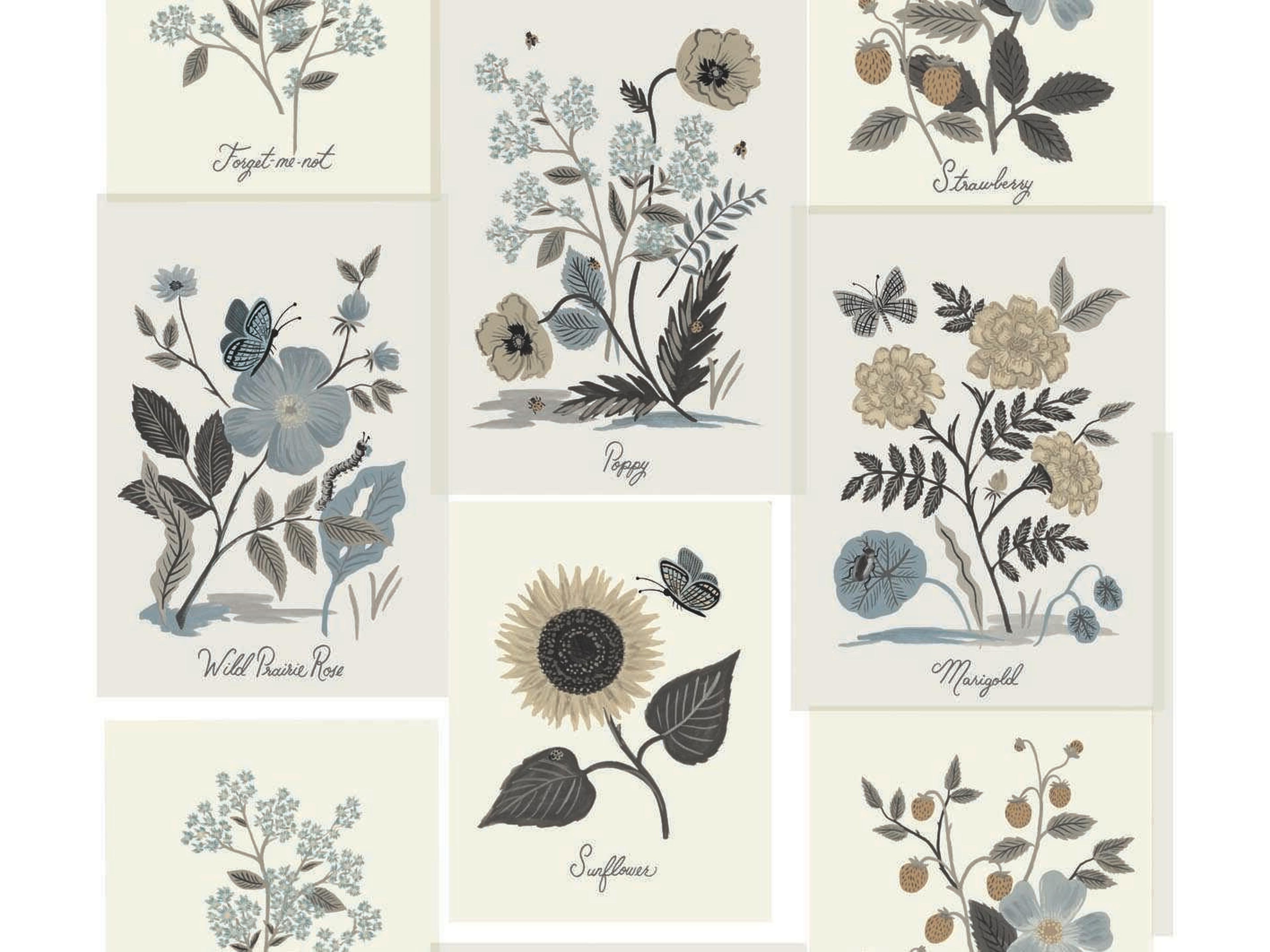 York Wallcoverings Rifle Paper Co. Second Edition Beige Black Botanical Prints Wallpaper