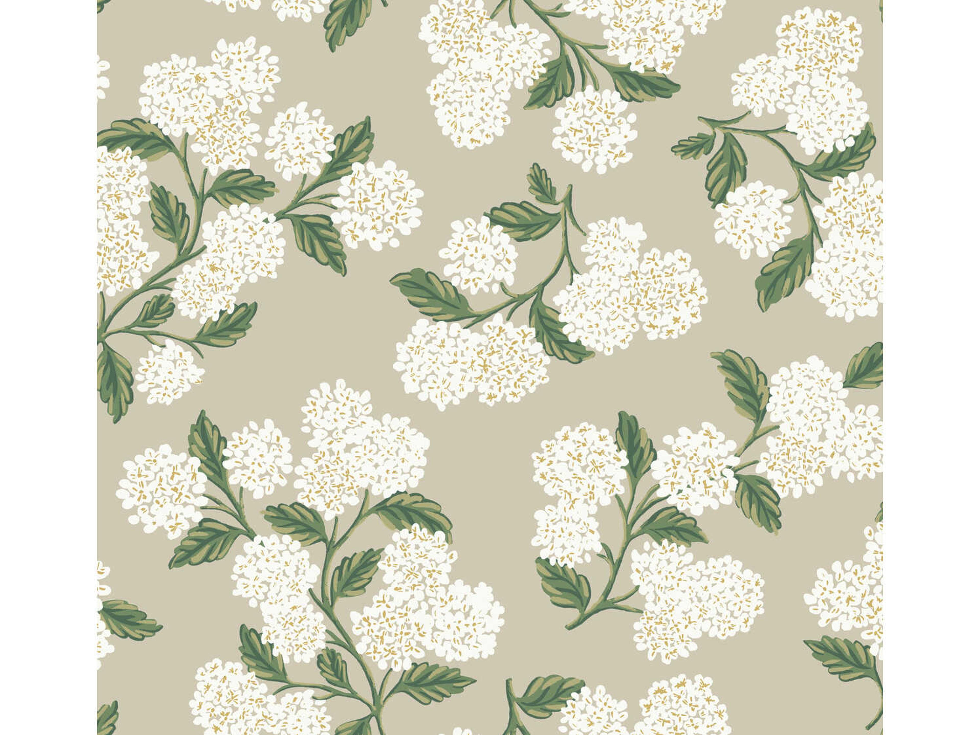 York Wallcoverings Rifle Paper Co. Second Edition Beige Hydrangea Wallpaper