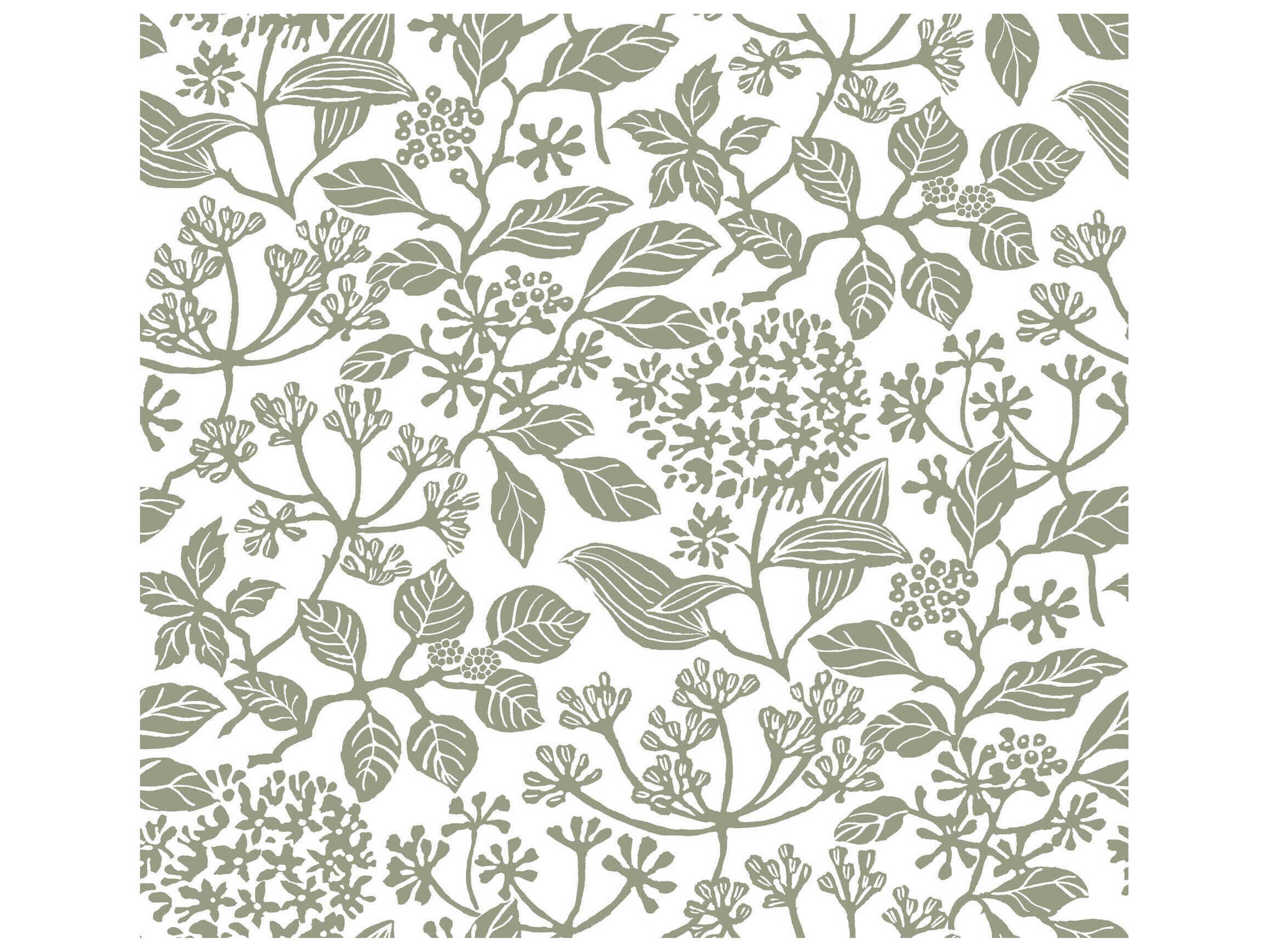 Antonina Vella Olive Botanical Wallpaper