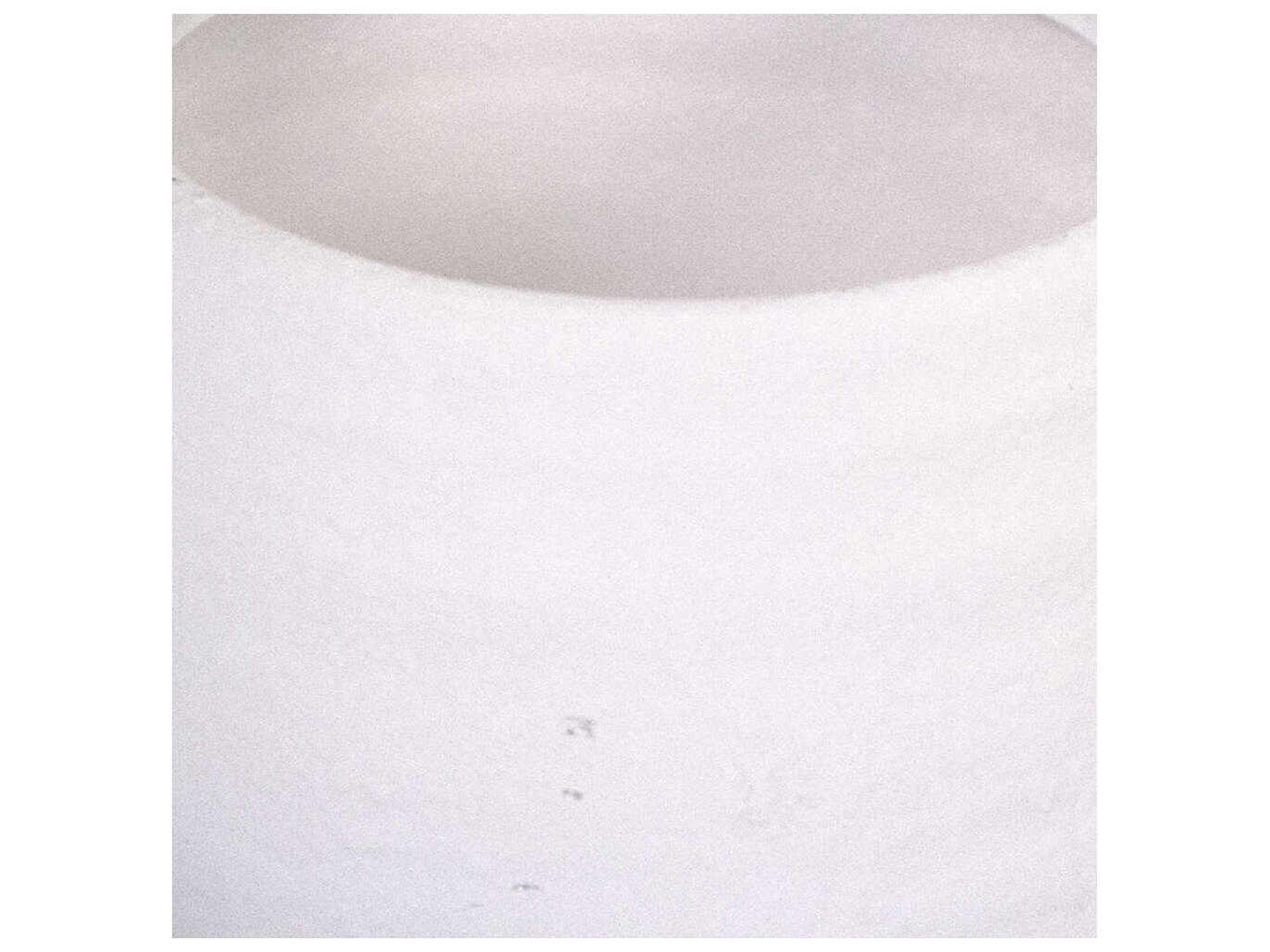 Zentique Distressed Matte White Vase