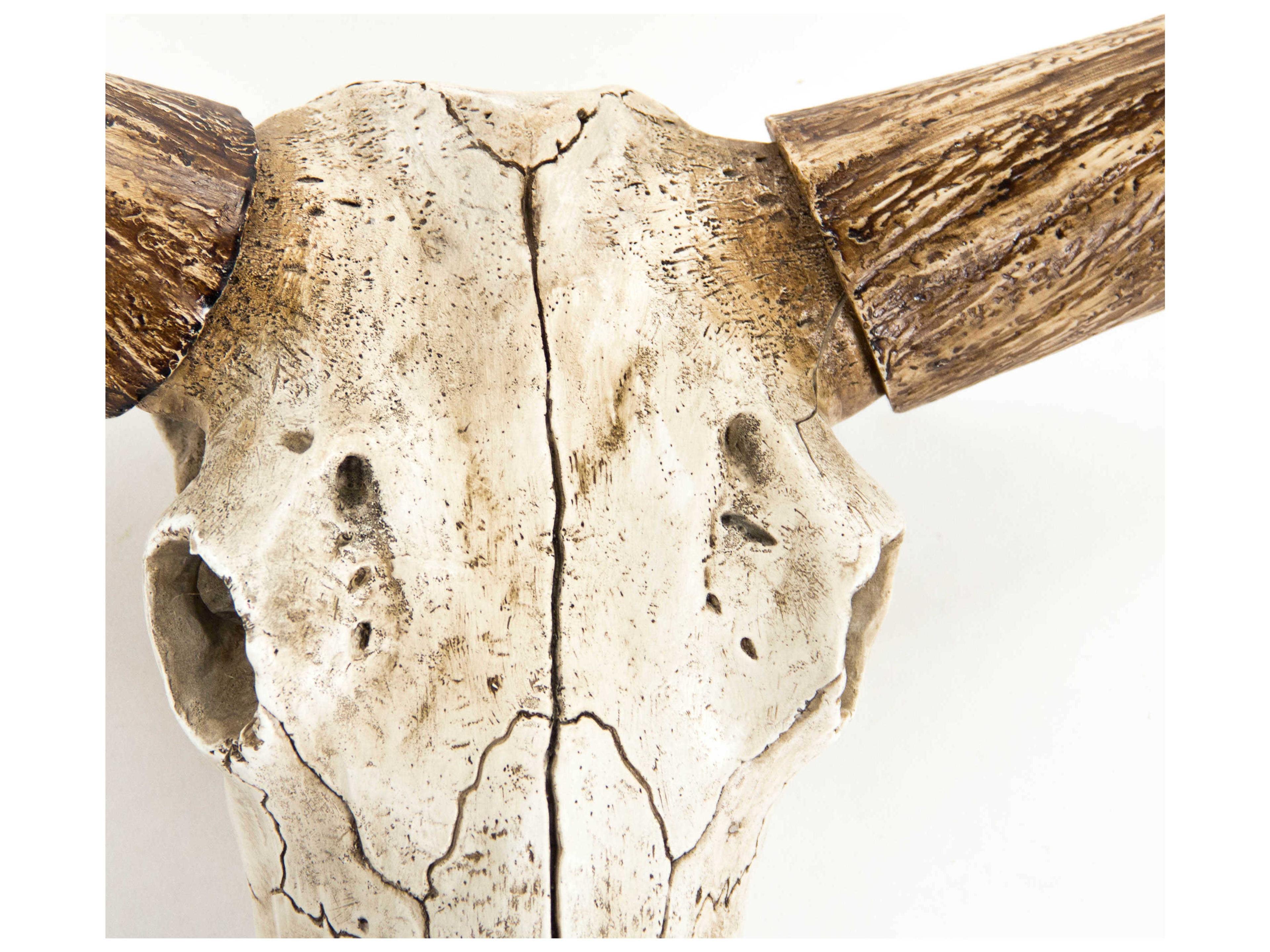 Zentique Distressed White / Brown Bull Skull 3D Wall Art