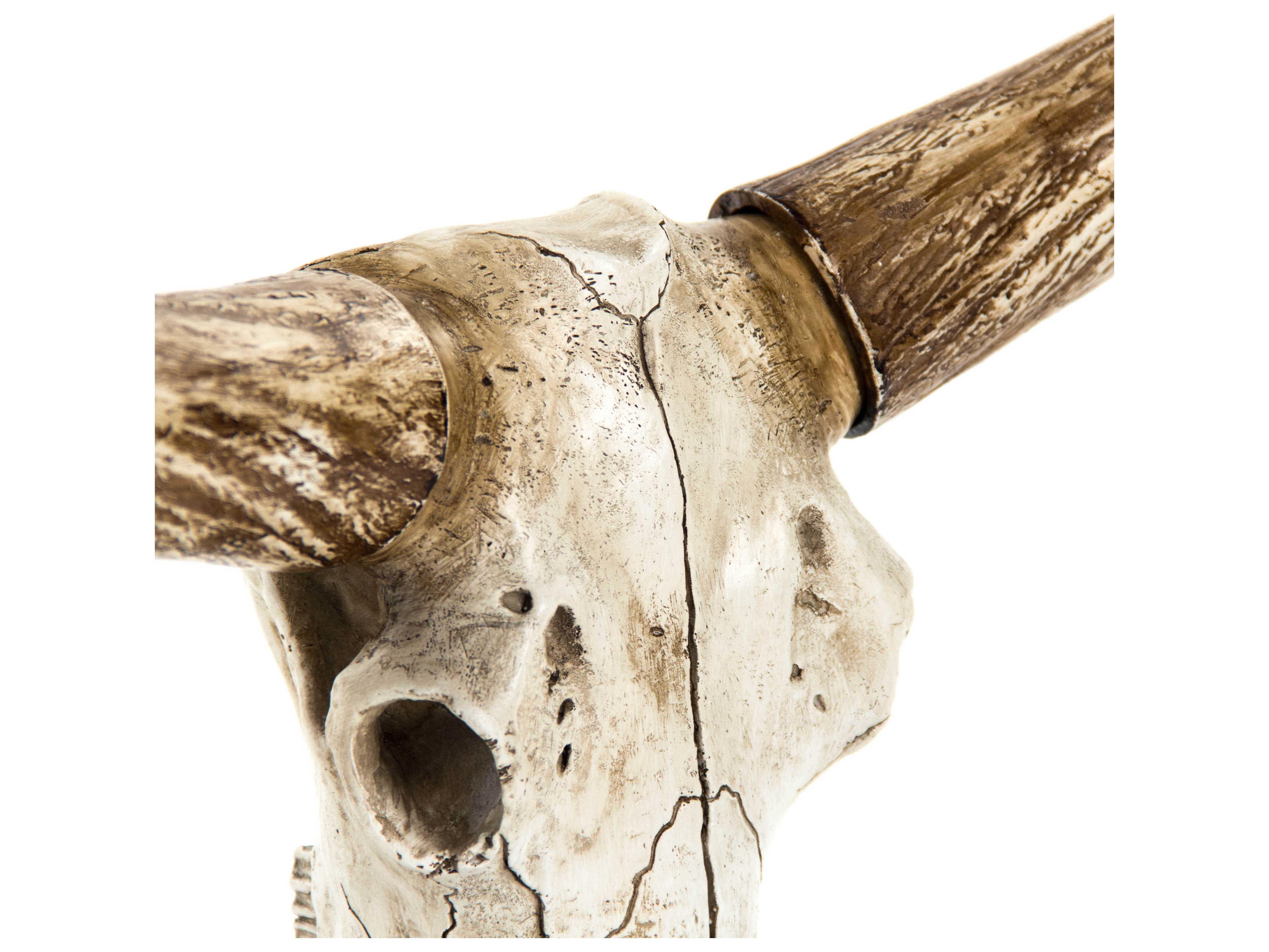 Zentique Distressed White / Brown Bull Skull Sculpture