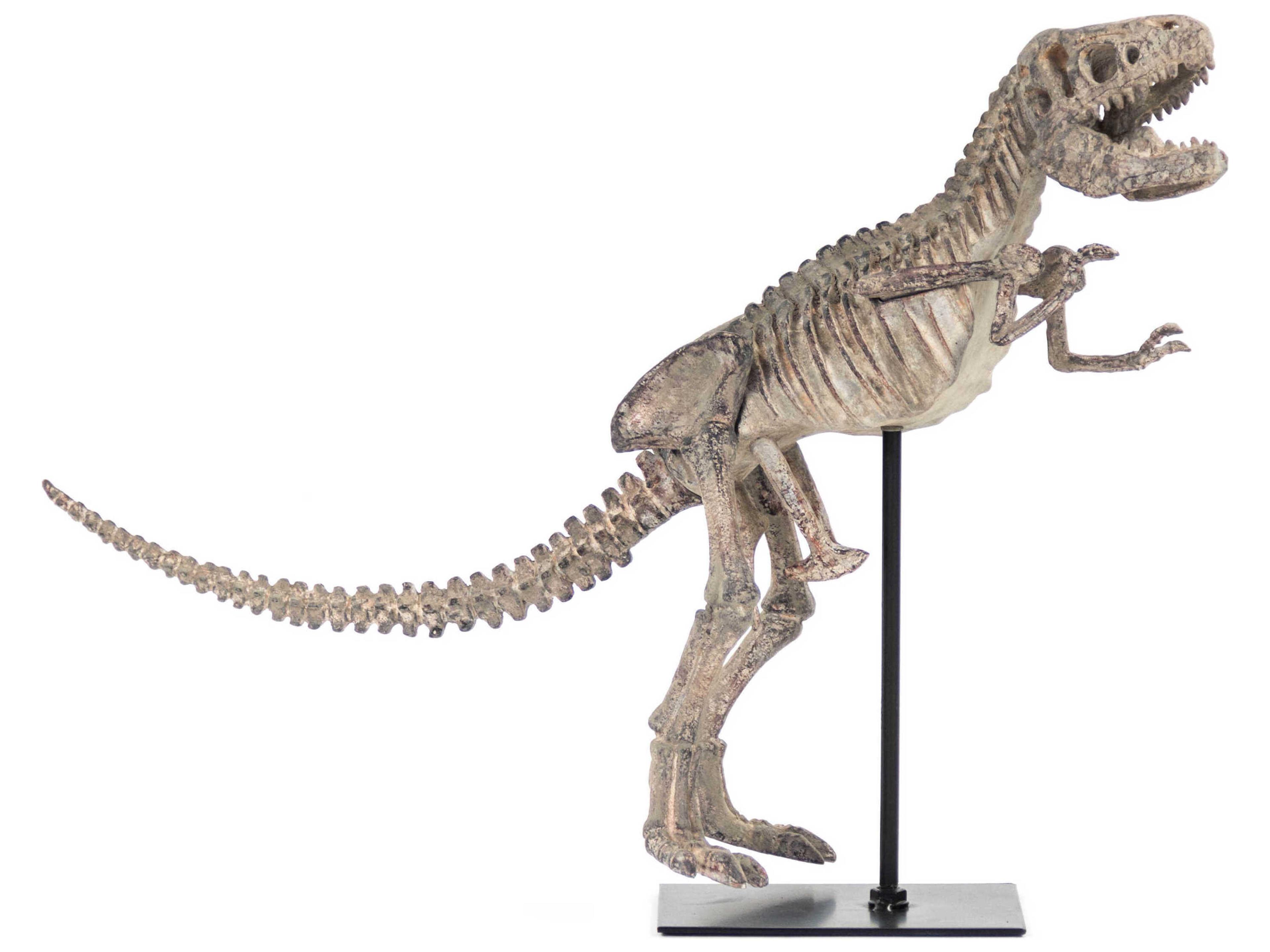 Zentique Dinosaur Skeleton Sculpture