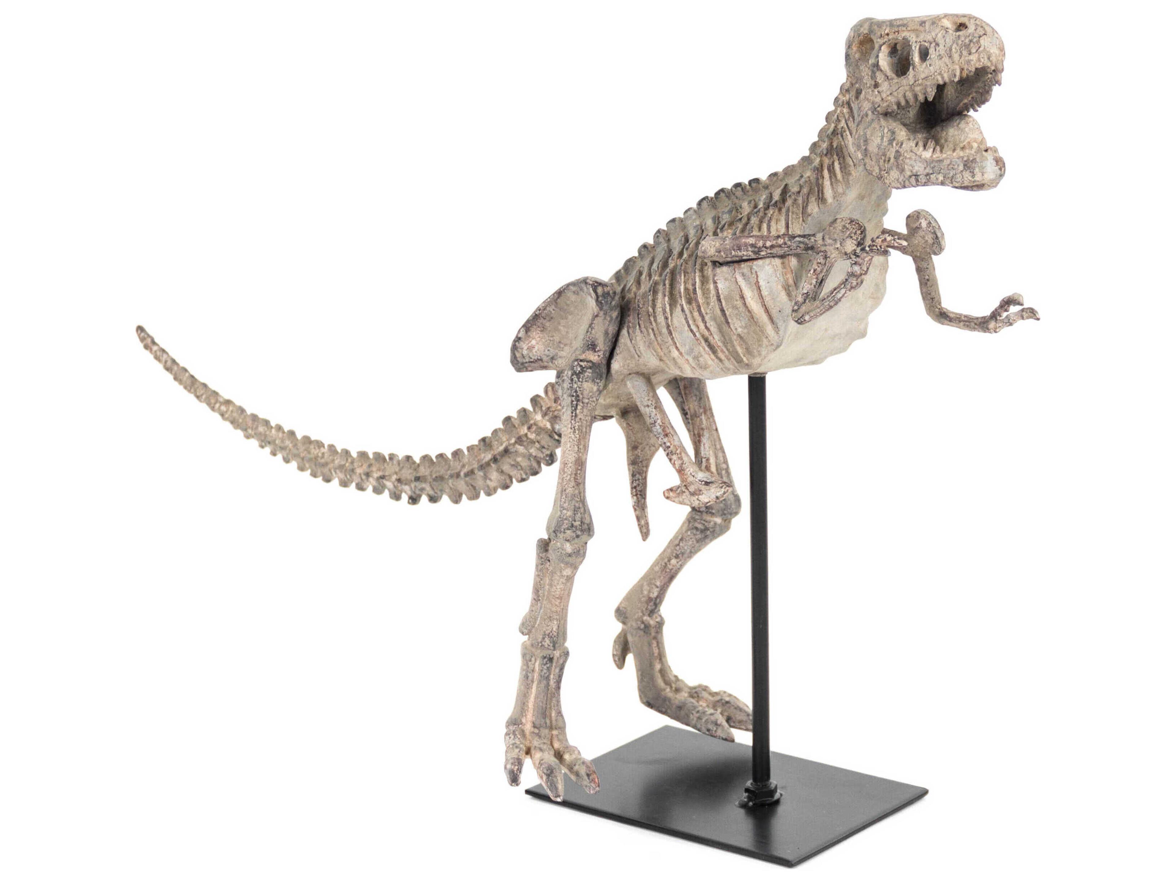 Zentique Dinosaur Skeleton Sculpture