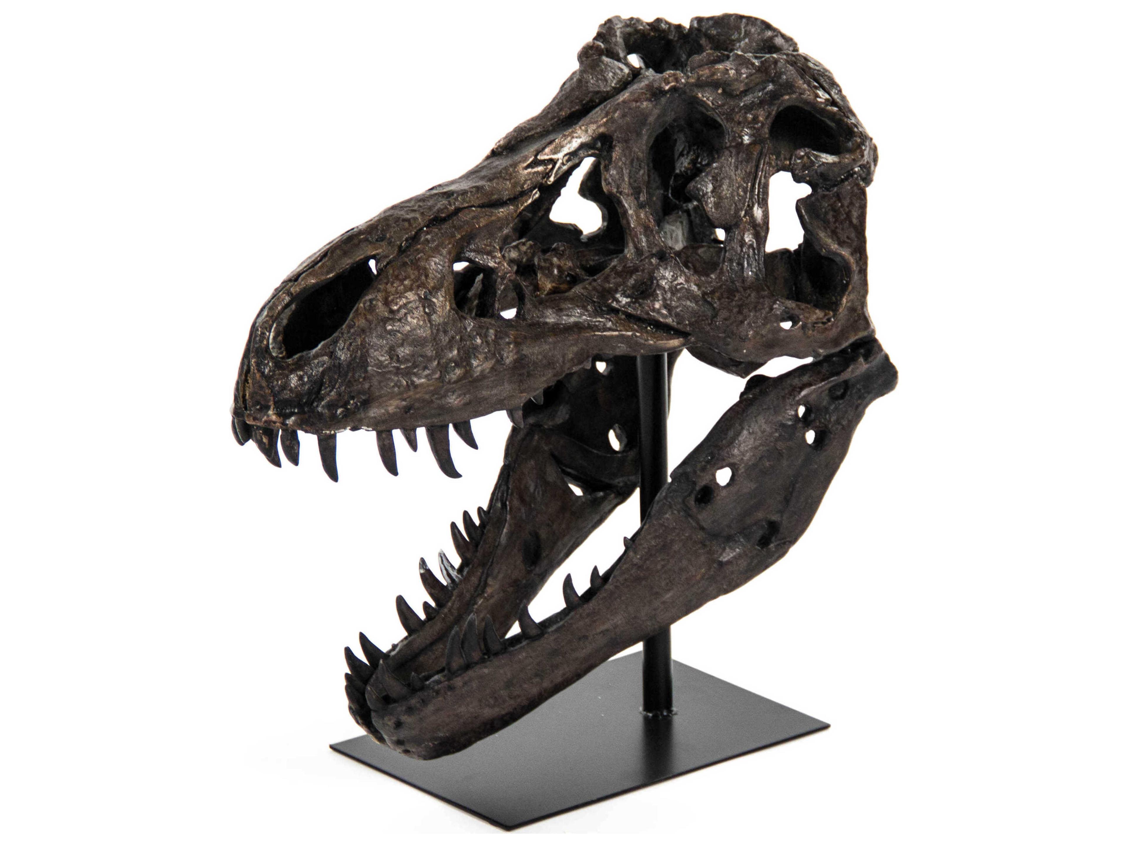 Zentique Antique Brown / Black Dinosaur Skull Sculpture