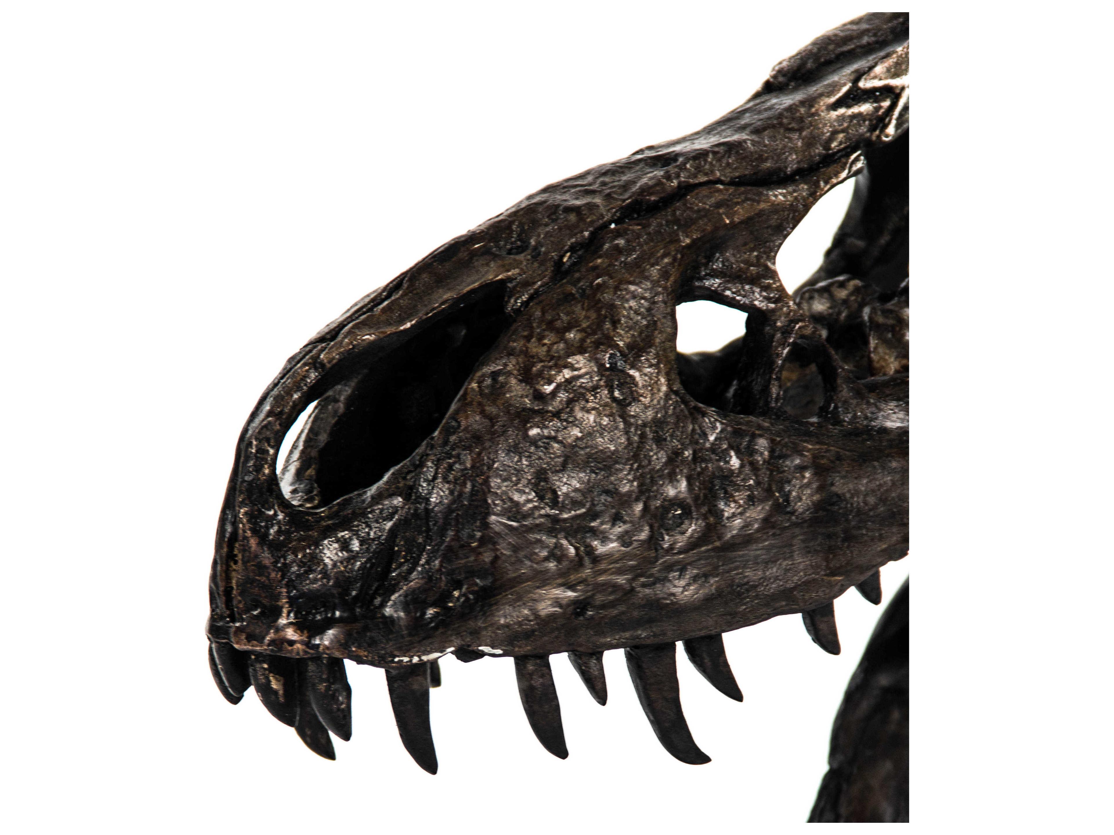 Zentique Antique Brown / Black Dinosaur Skull Sculpture