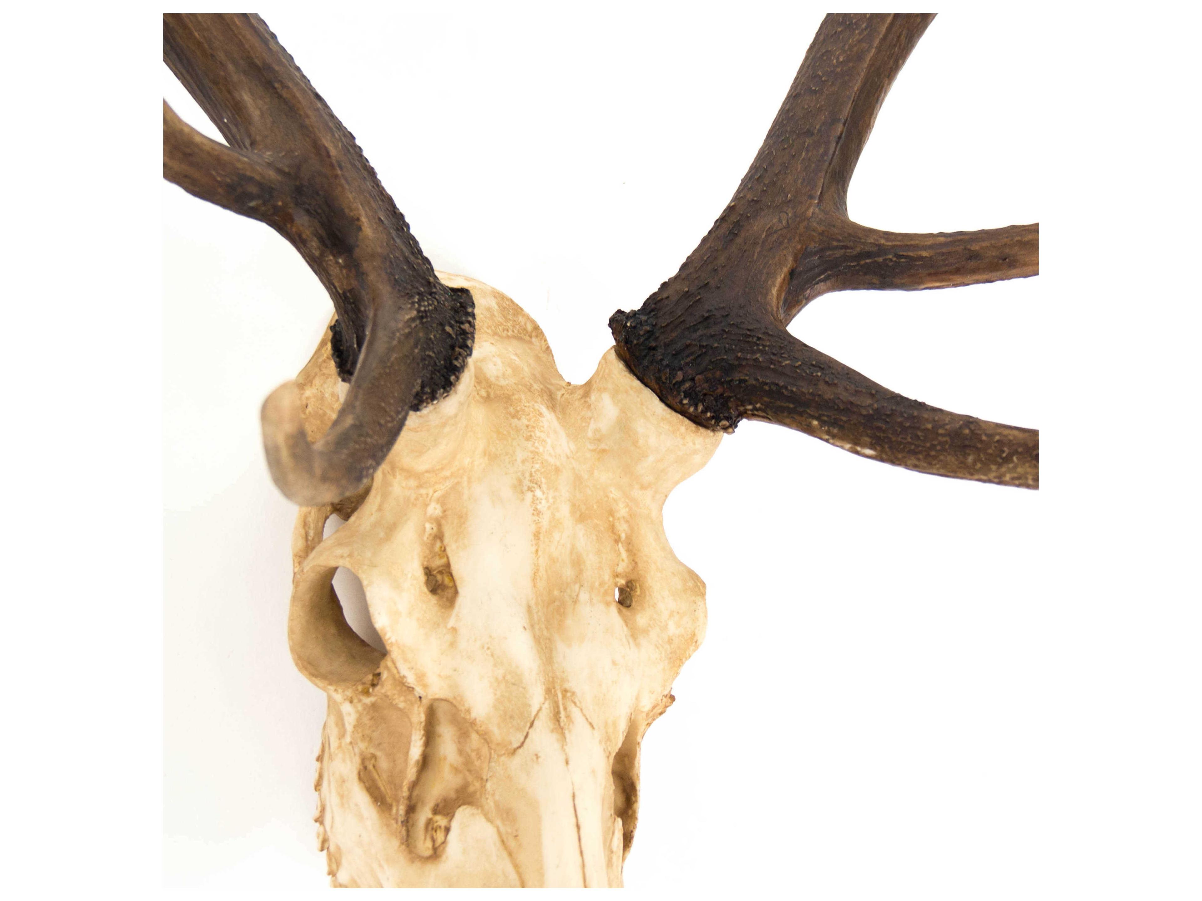 Zentique Off-White / Dark Brown Ombre Deer Skull 3D Wall Art