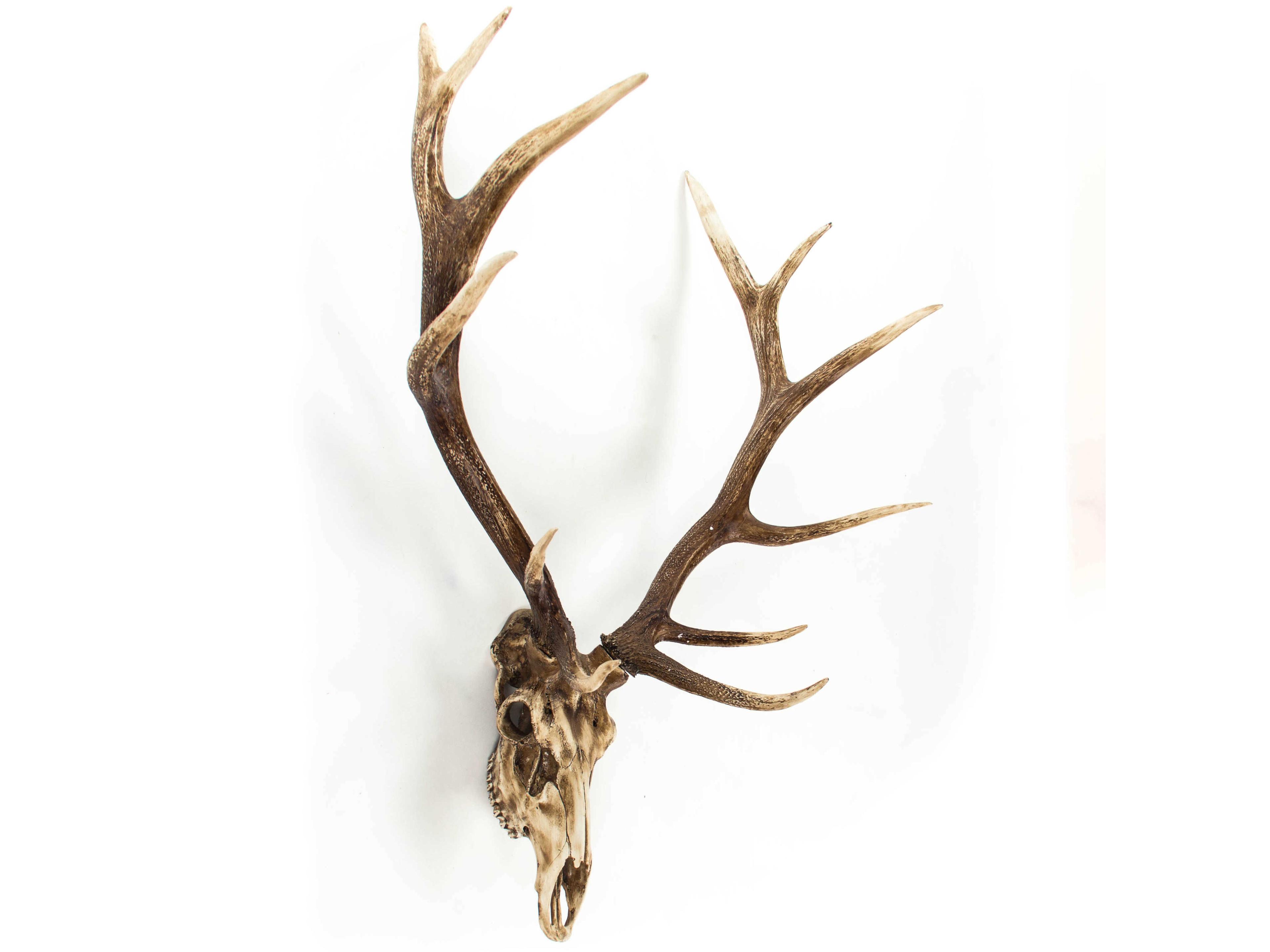 Zentique Weathered / Distressed Brown Deer Skull 3D Wall Art